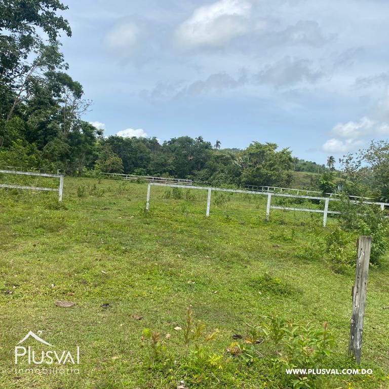 Terreno en Venta en Las Terrenas - Samaná | 190,930 m² Naturaleza y Altitud 313393
