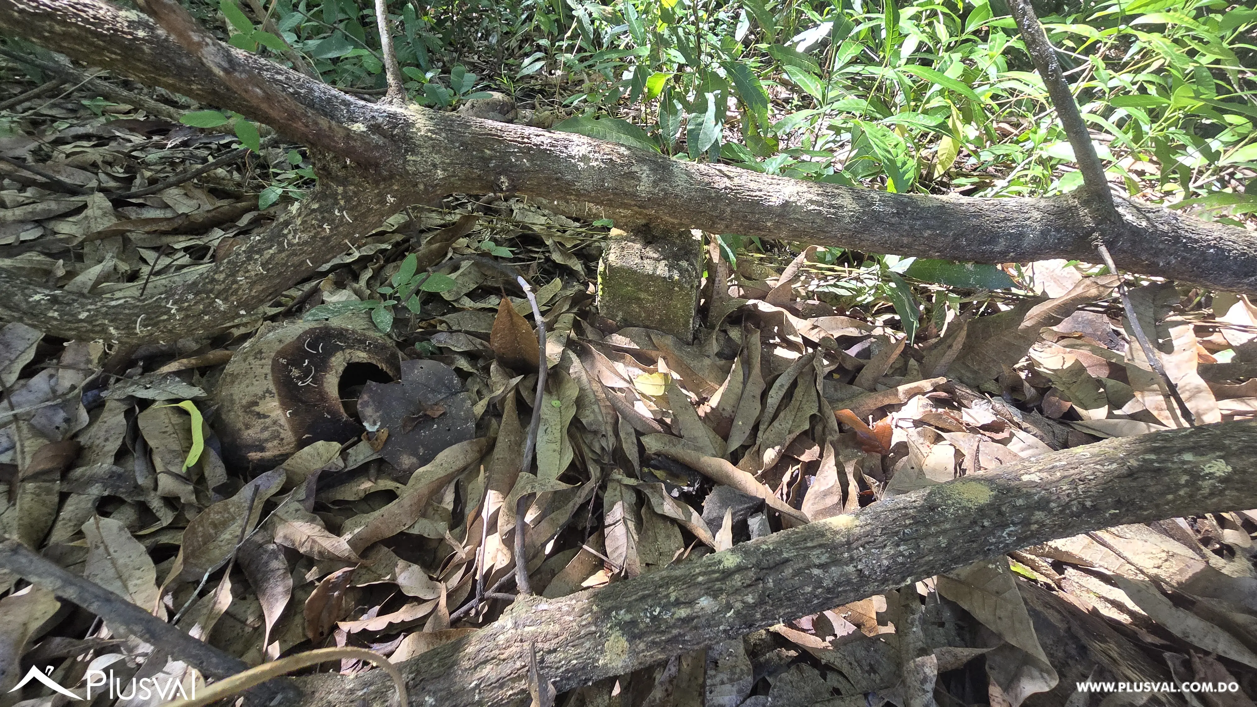 Oportunidad de inversion: Solar en vacacional matua. 485884