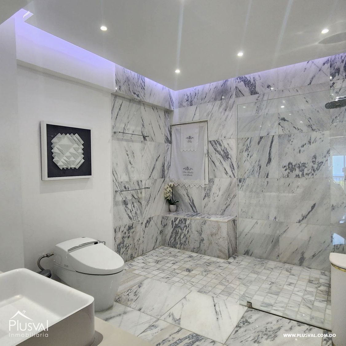 Pent-house en venta en Bella Vista AMUEBLADO 357935