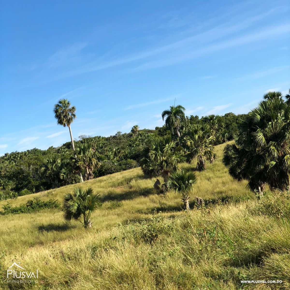 Terreno con vista a la playa - Puerto Plata 303925