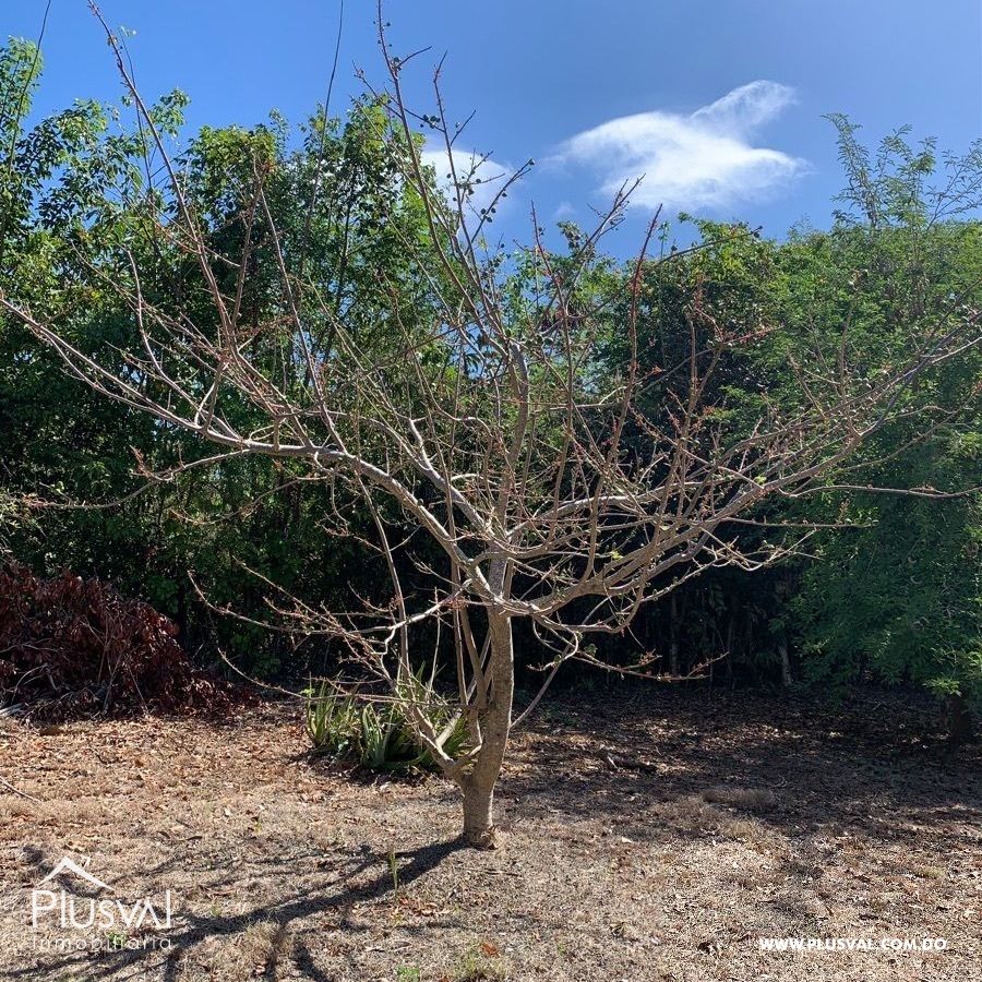 Finca de frutales en Yaguate, San Cristóbal 397852