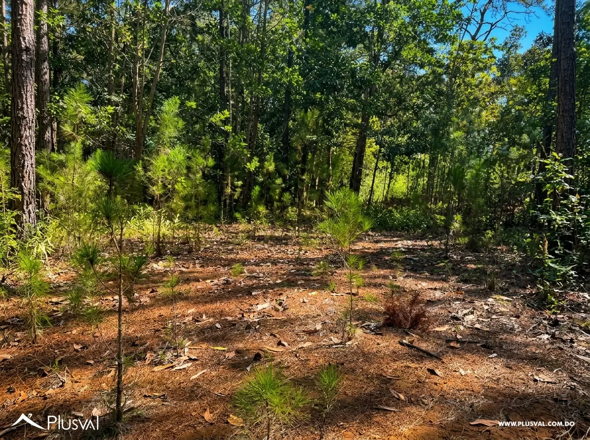 Solar en  Venta en Proyecto Alterra en Jarabacoa 536568