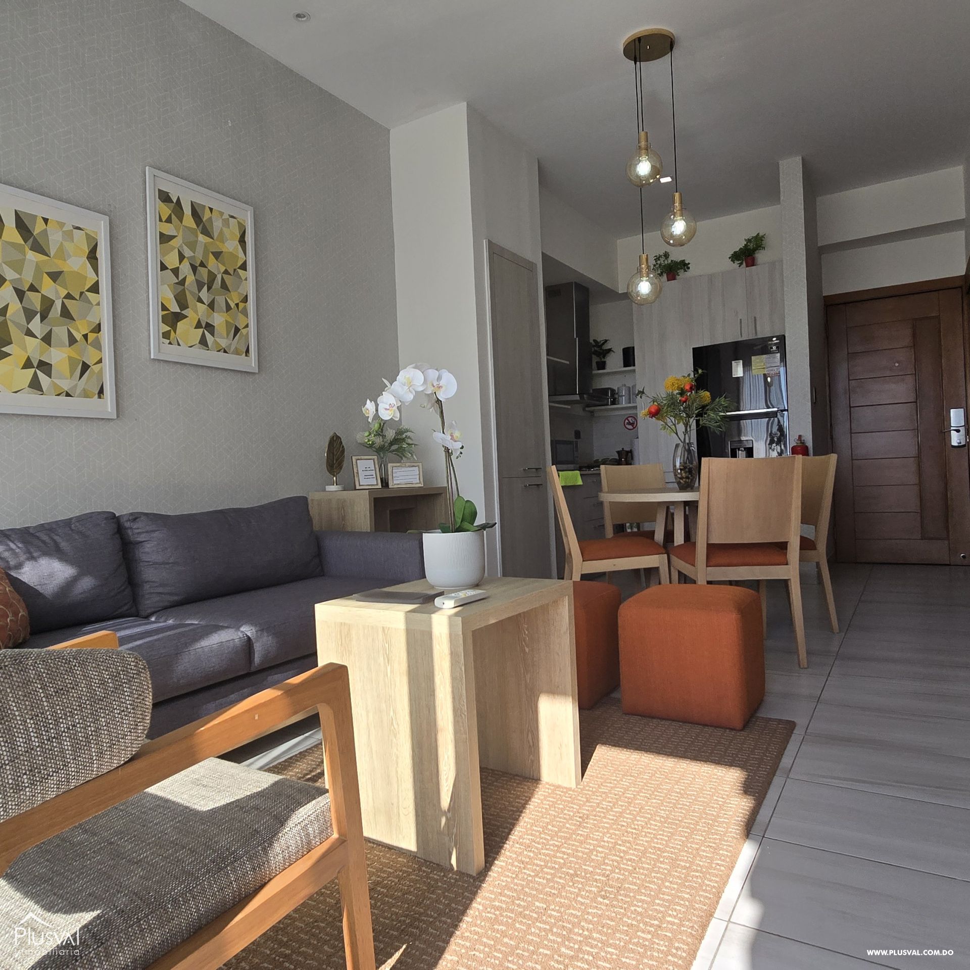 Apartamento amueblado en alquiler, Naco 400663
