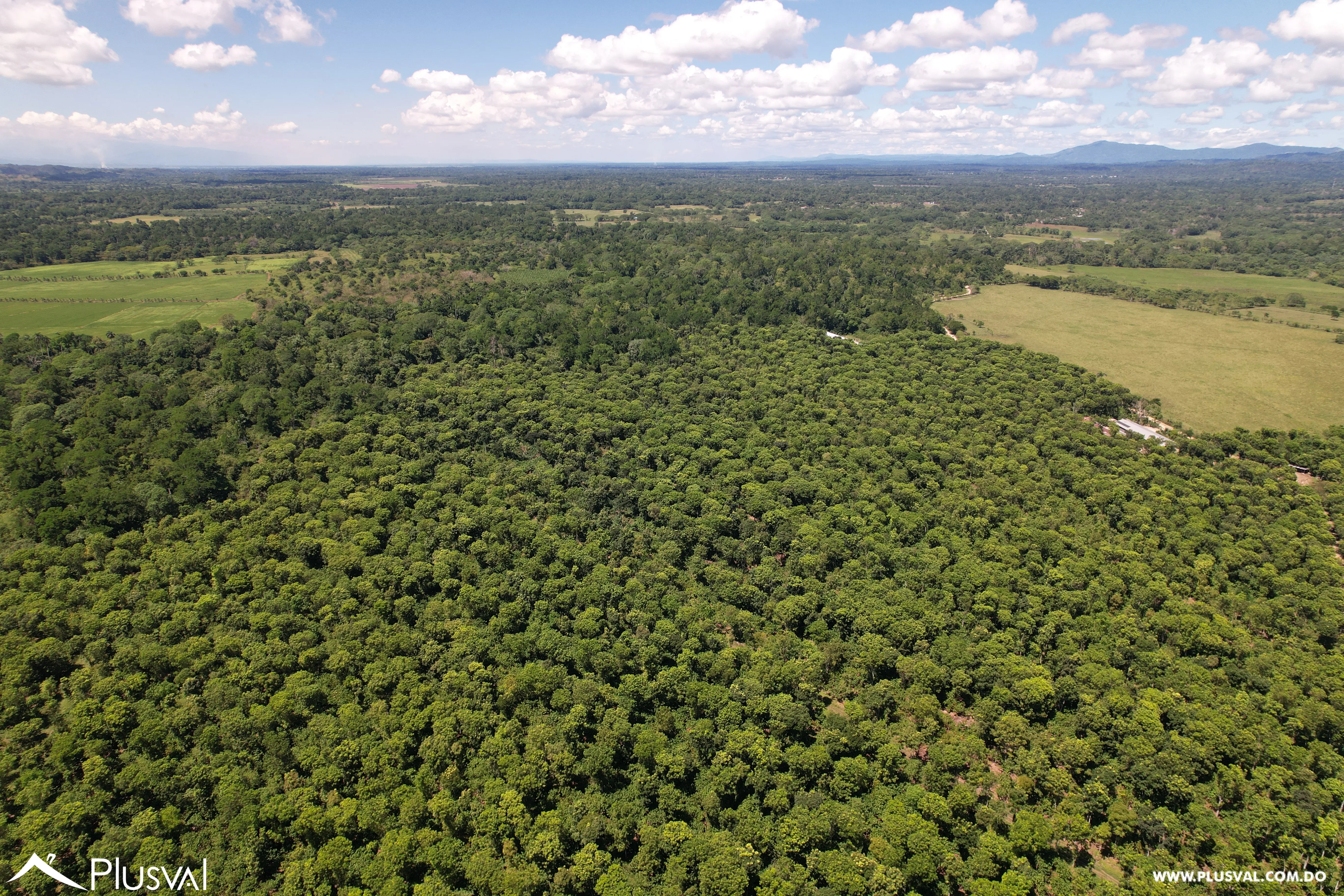 Finca de Cacao Orgánico Certificado en Venta en San Francisco de Macoris 506970