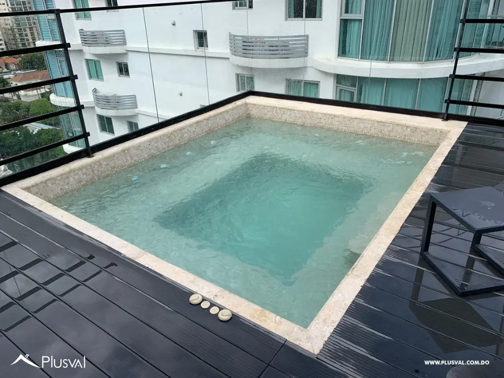 Apartamento en alquiler en Piantini 471042