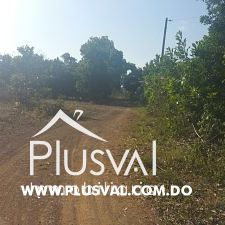 Solar en Circunvalacion  hacia Villa Mella 332930
