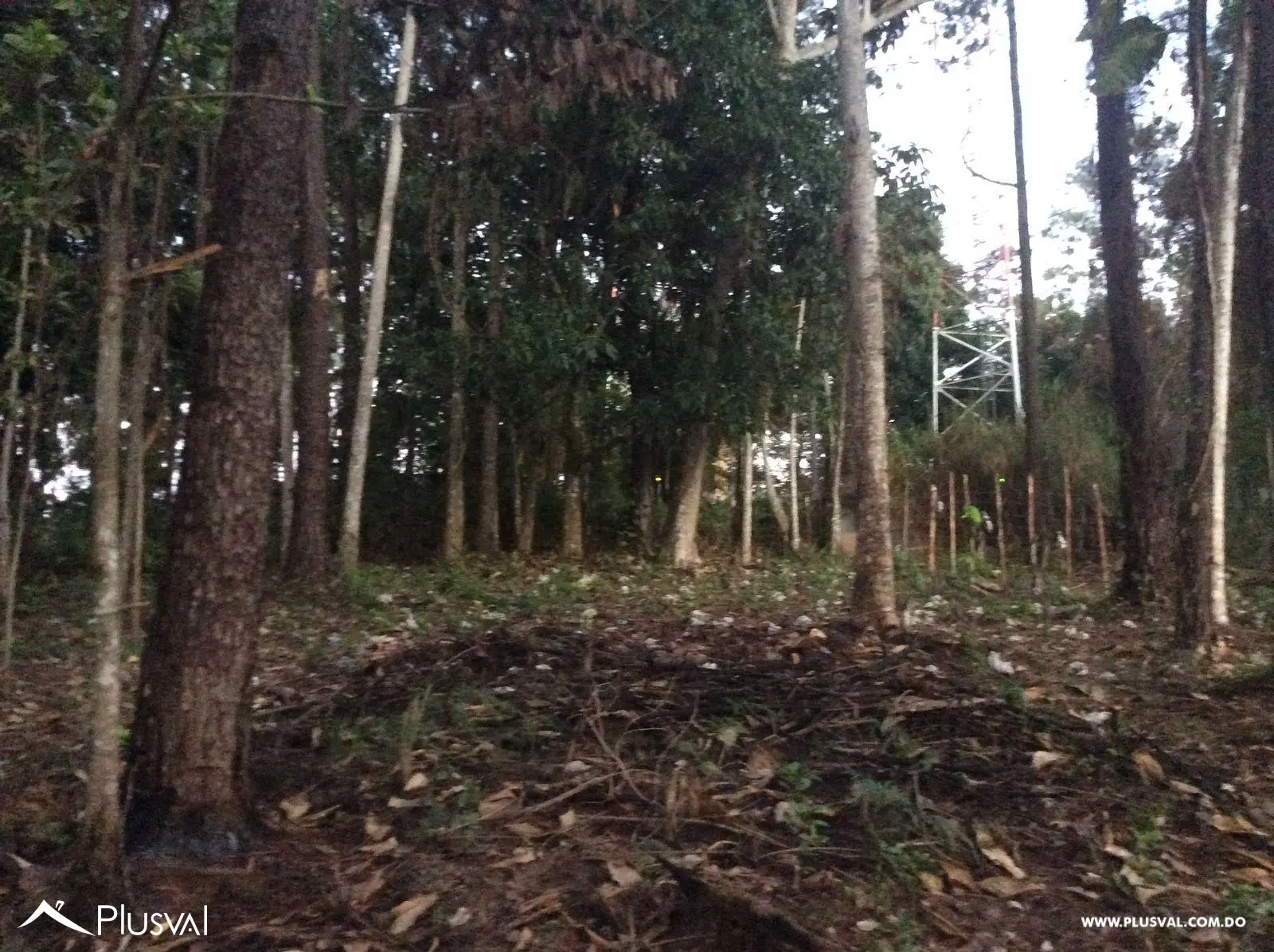 Solar a la venta - Tu refugio natural en Jarabacoa 496446