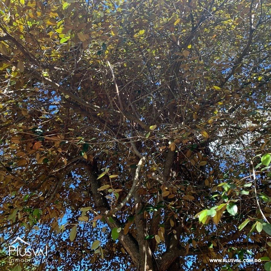 Finca de frutales en Yaguate, San Cristóbal 397844
