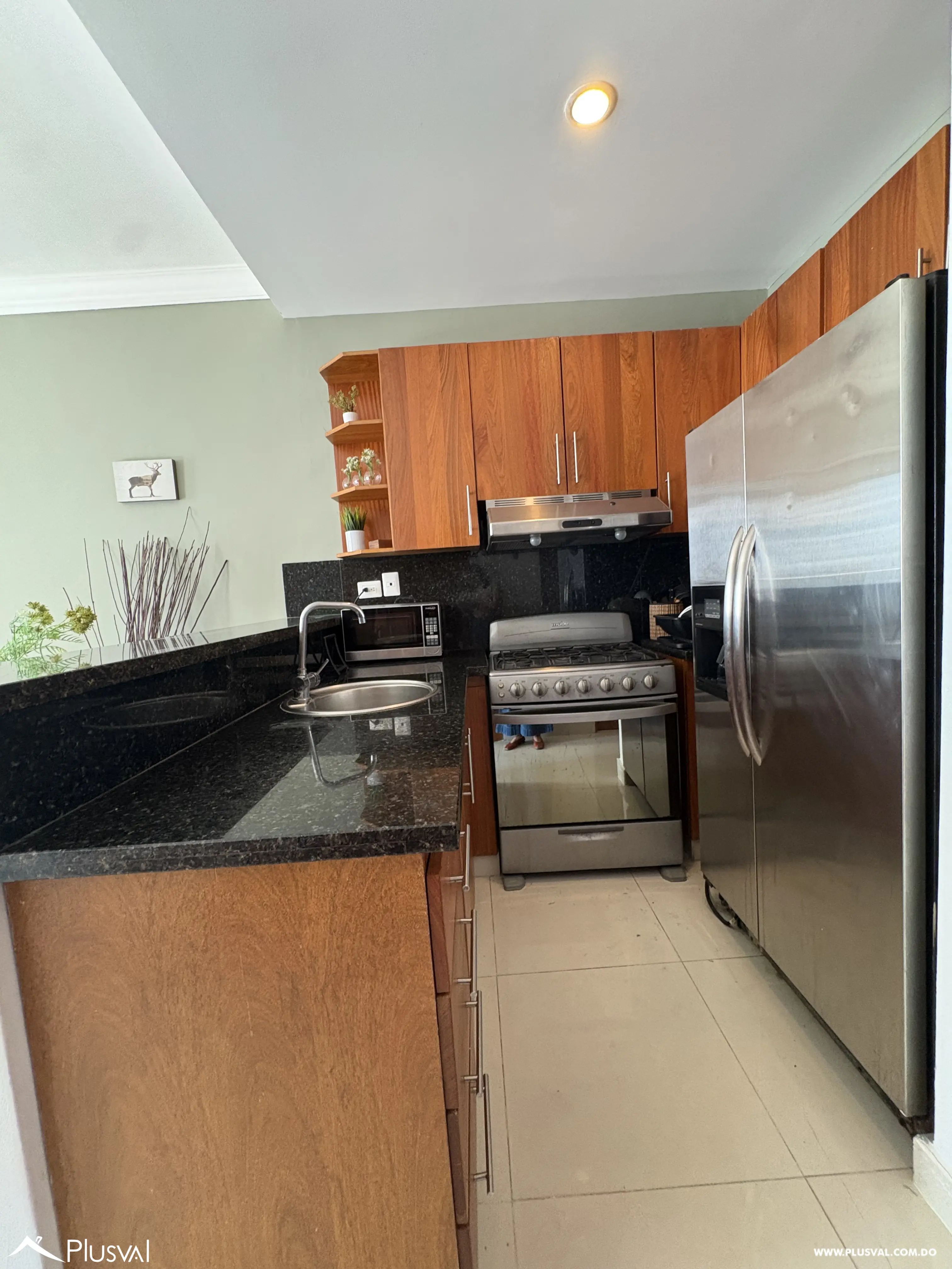 Apartamento amueblado en Alquiler, de 1 habitación en Piantini. 490899