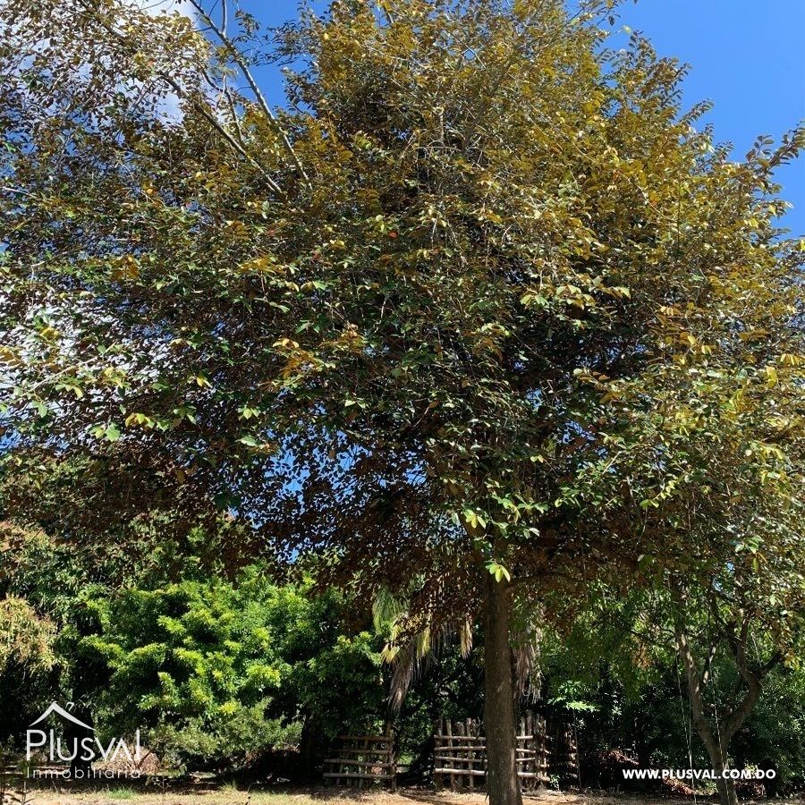 Finca de frutales en Yaguate, San Cristóbal 397843