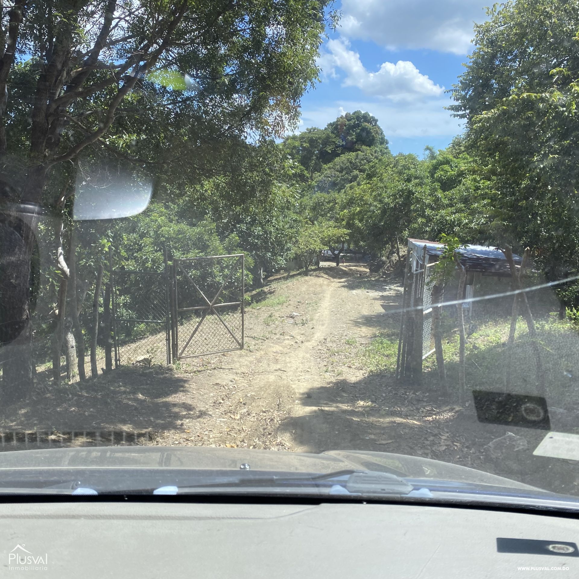 Finca de Aguacates en Producción de Venta 383733
