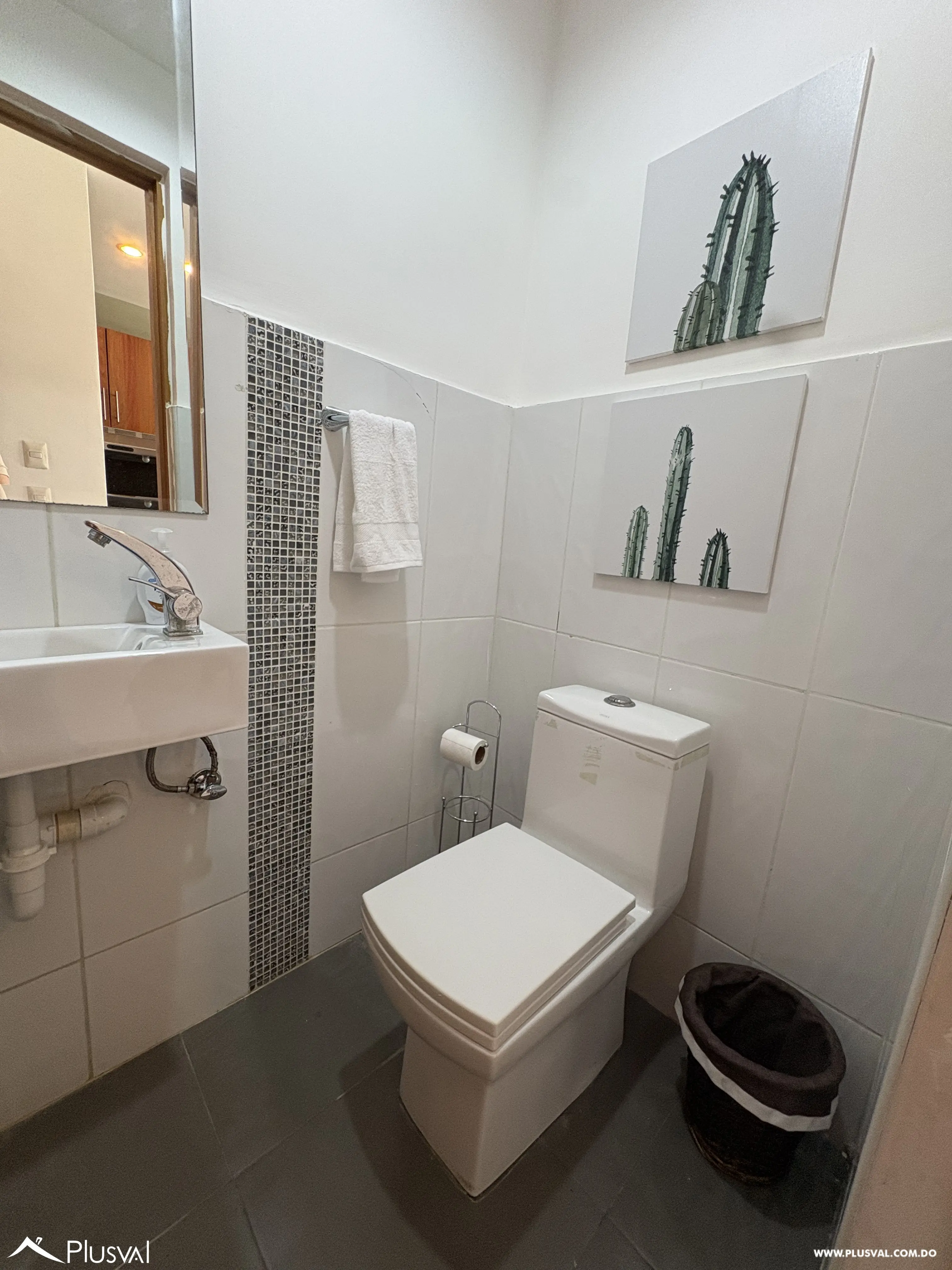 Apartamento amueblado en Alquiler, de 1 habitación en Piantini. 490898