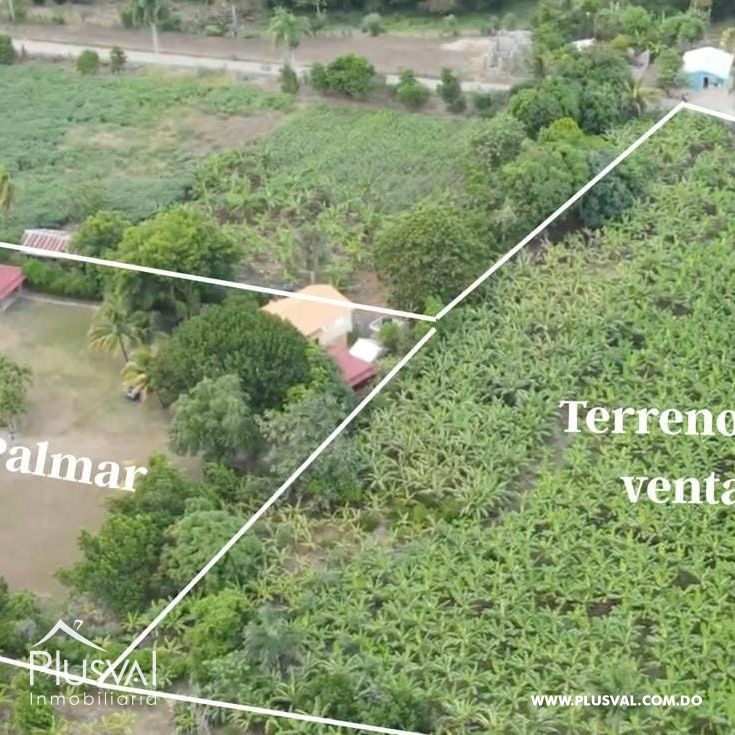 Solar en venta - Palmar, Villa González 432201
