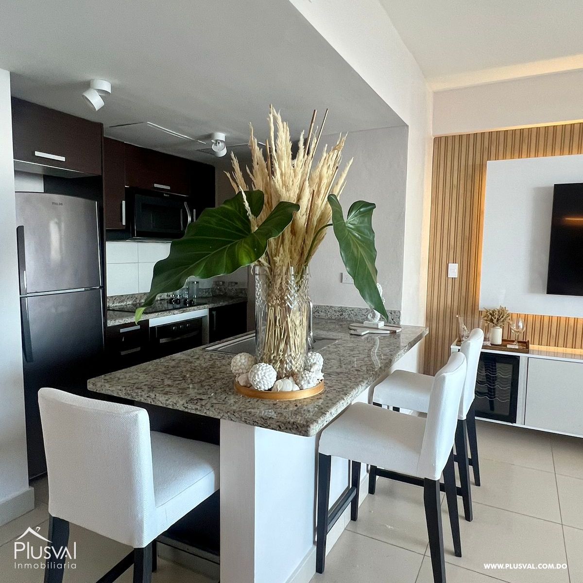 Apartamento Amueblado en Alquiler en primera línea de playa en Juan Dolio 323005