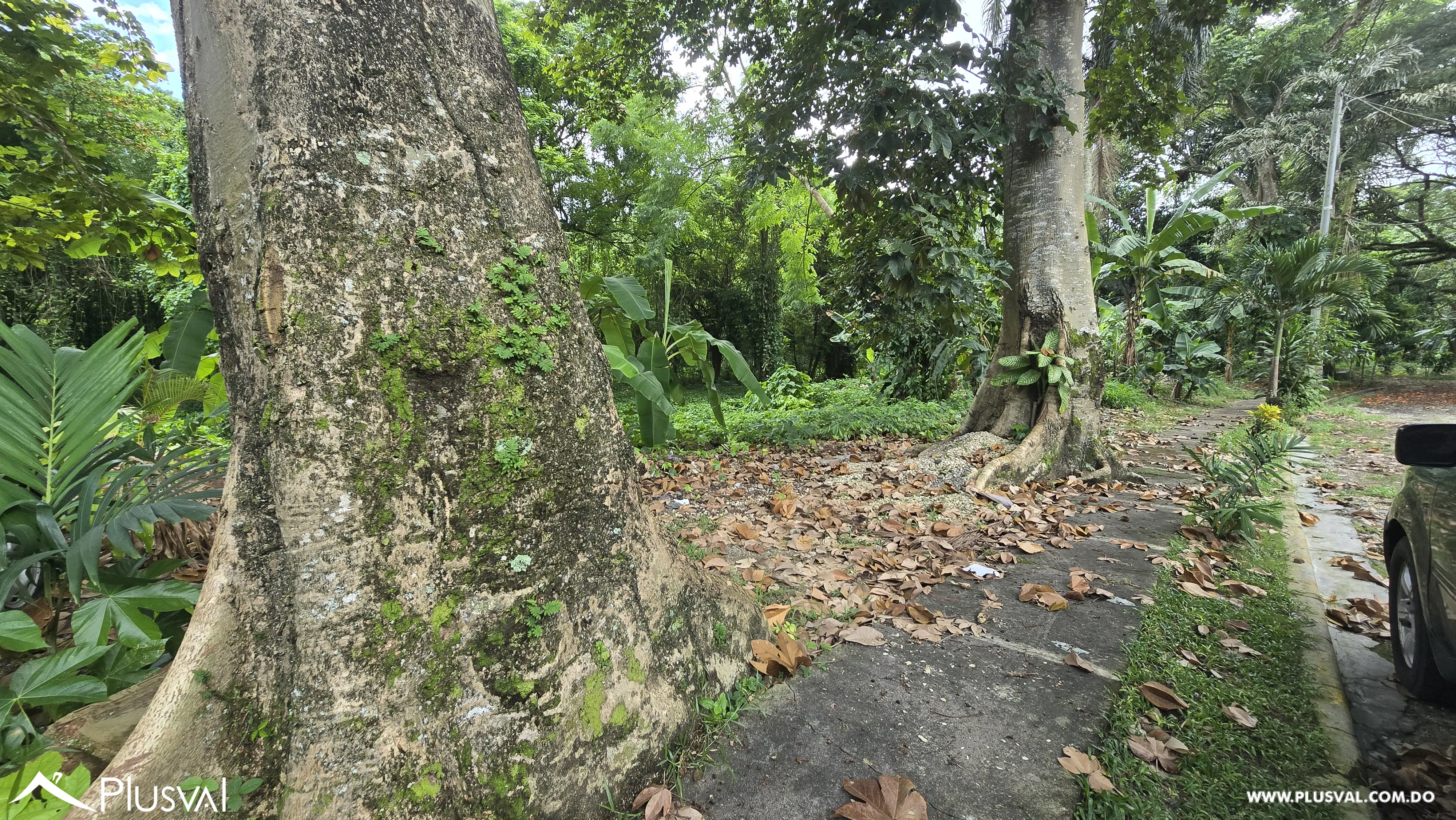 Solar de 35,846.73 en Venta, Arroyo Hondo 470483