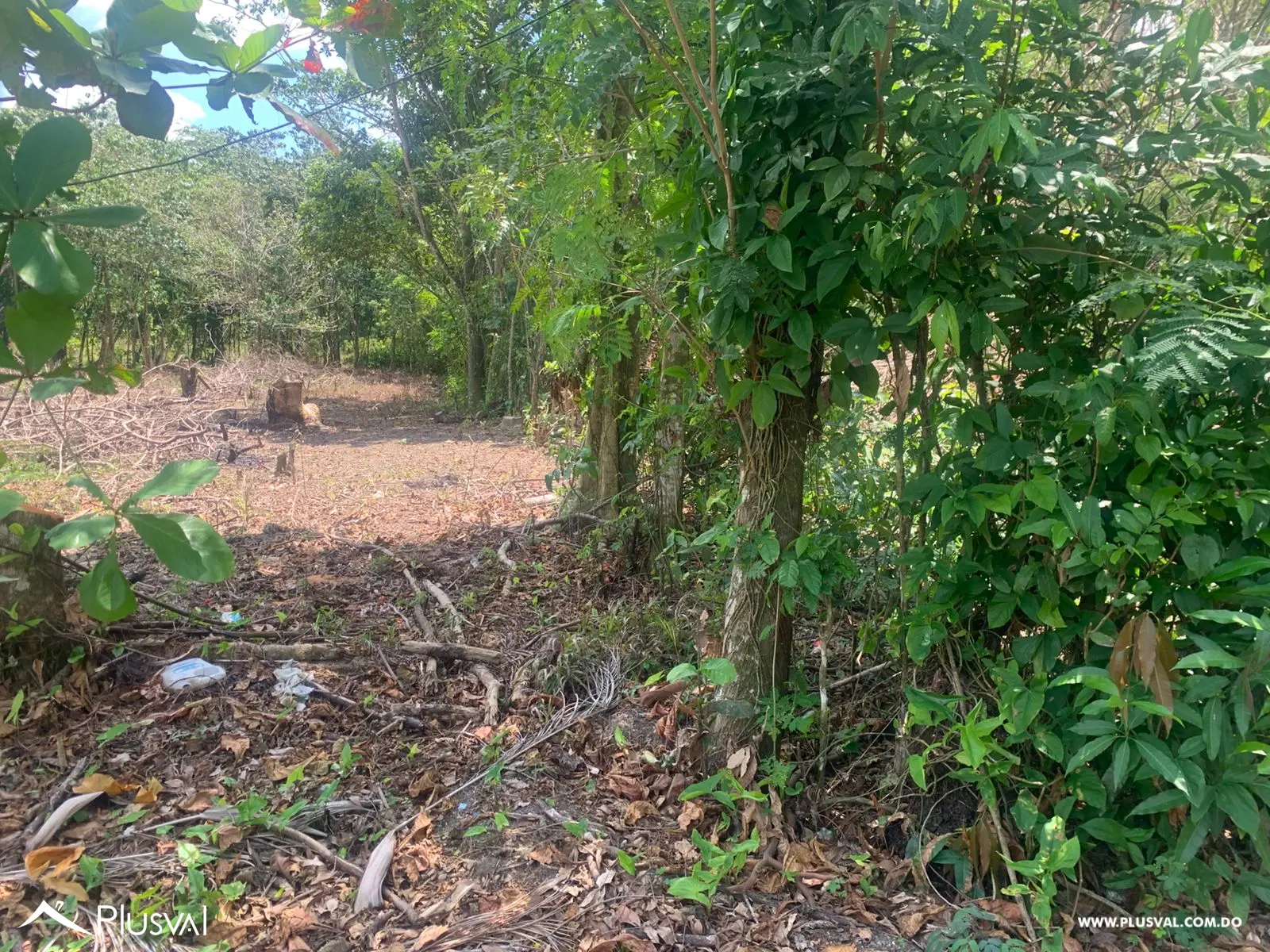 Venta de finca totalmente llana en San Cristóbal. 466614