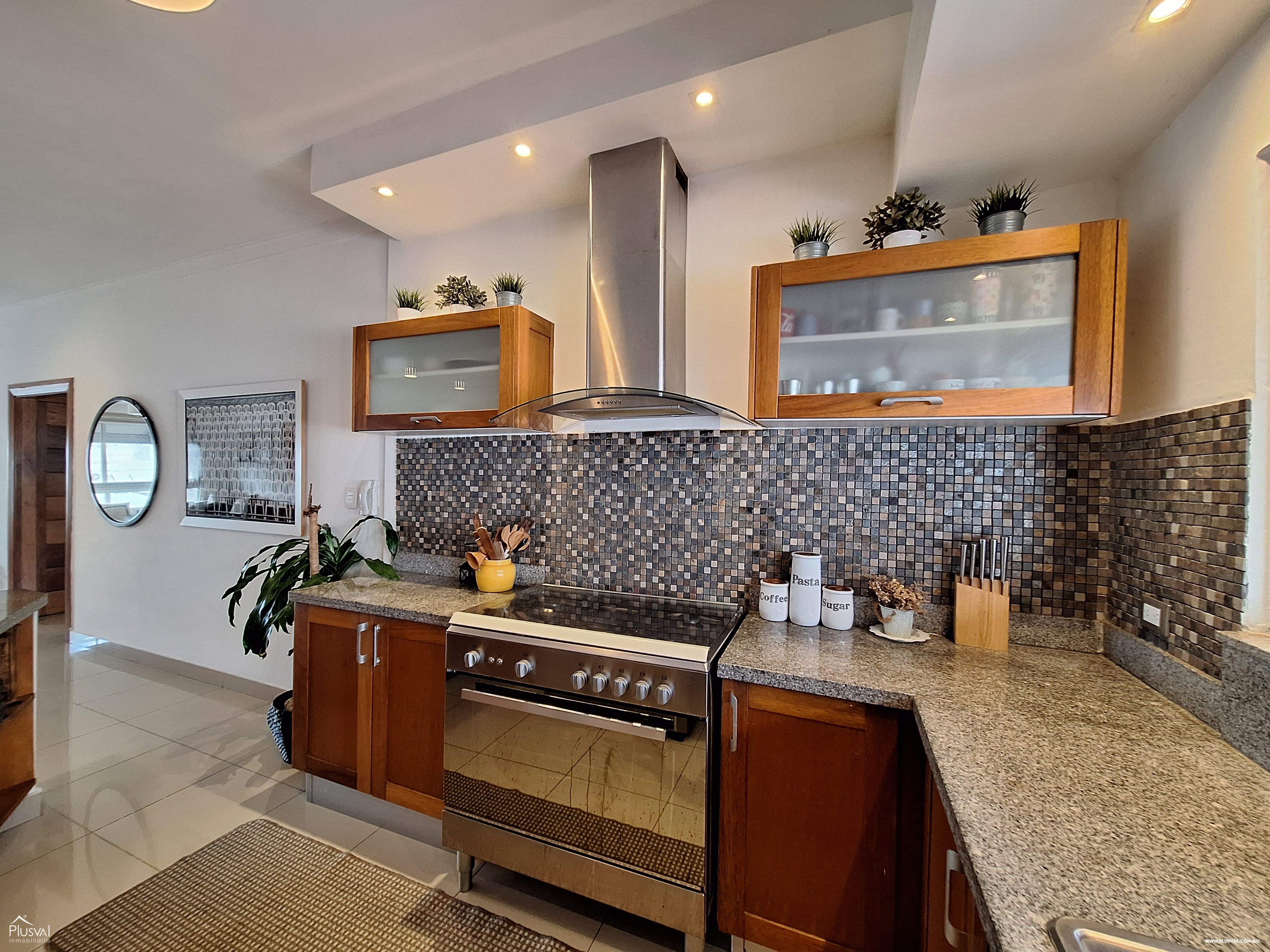Apartamento AMUEBLADO en Alquiler, Paraíso 349436