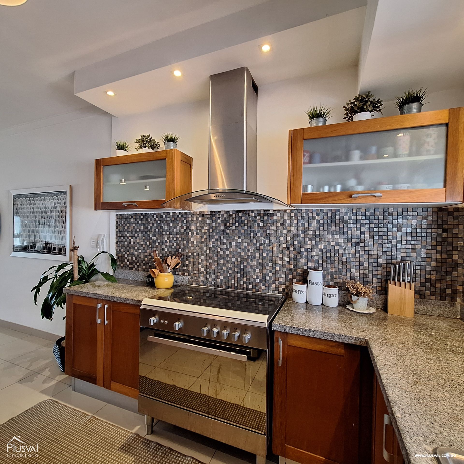 Apartamento AMUEBLADO en Alquiler, Paraíso 349436