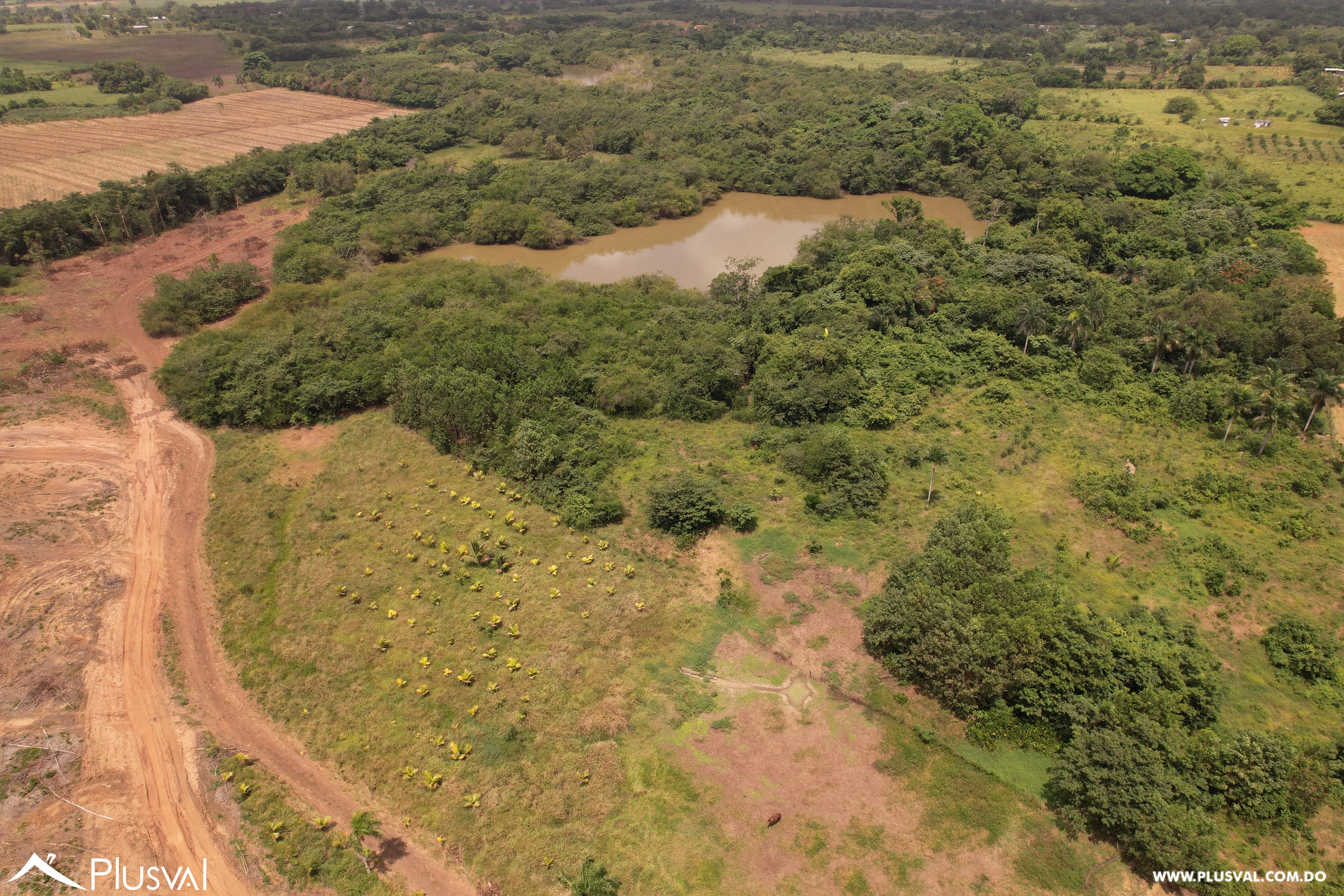 Finca Ganadera Deslindada de 271 Tareas 515864