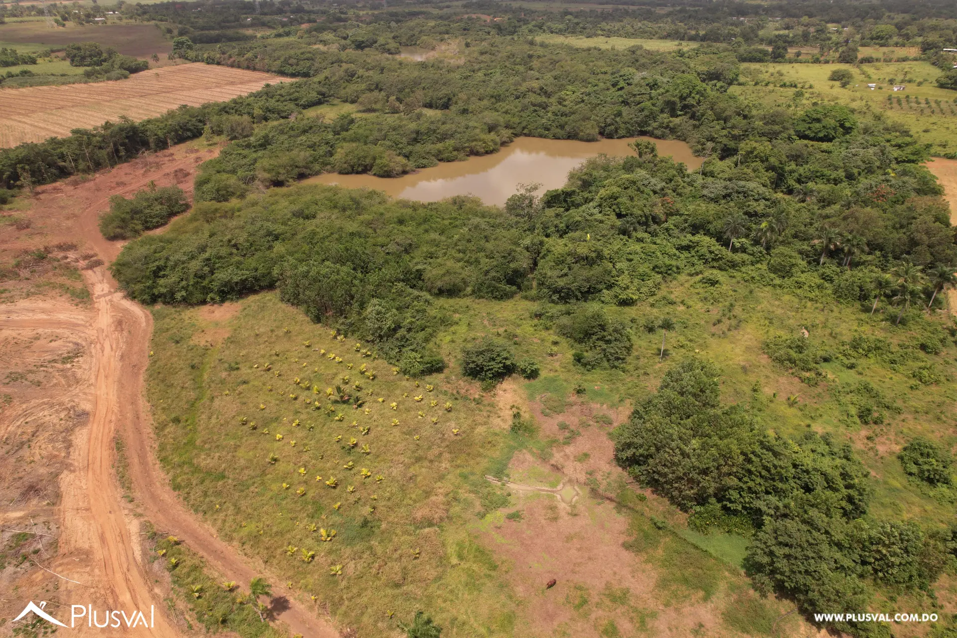 Finca Ganadera Deslindada de 271 Tareas 515864