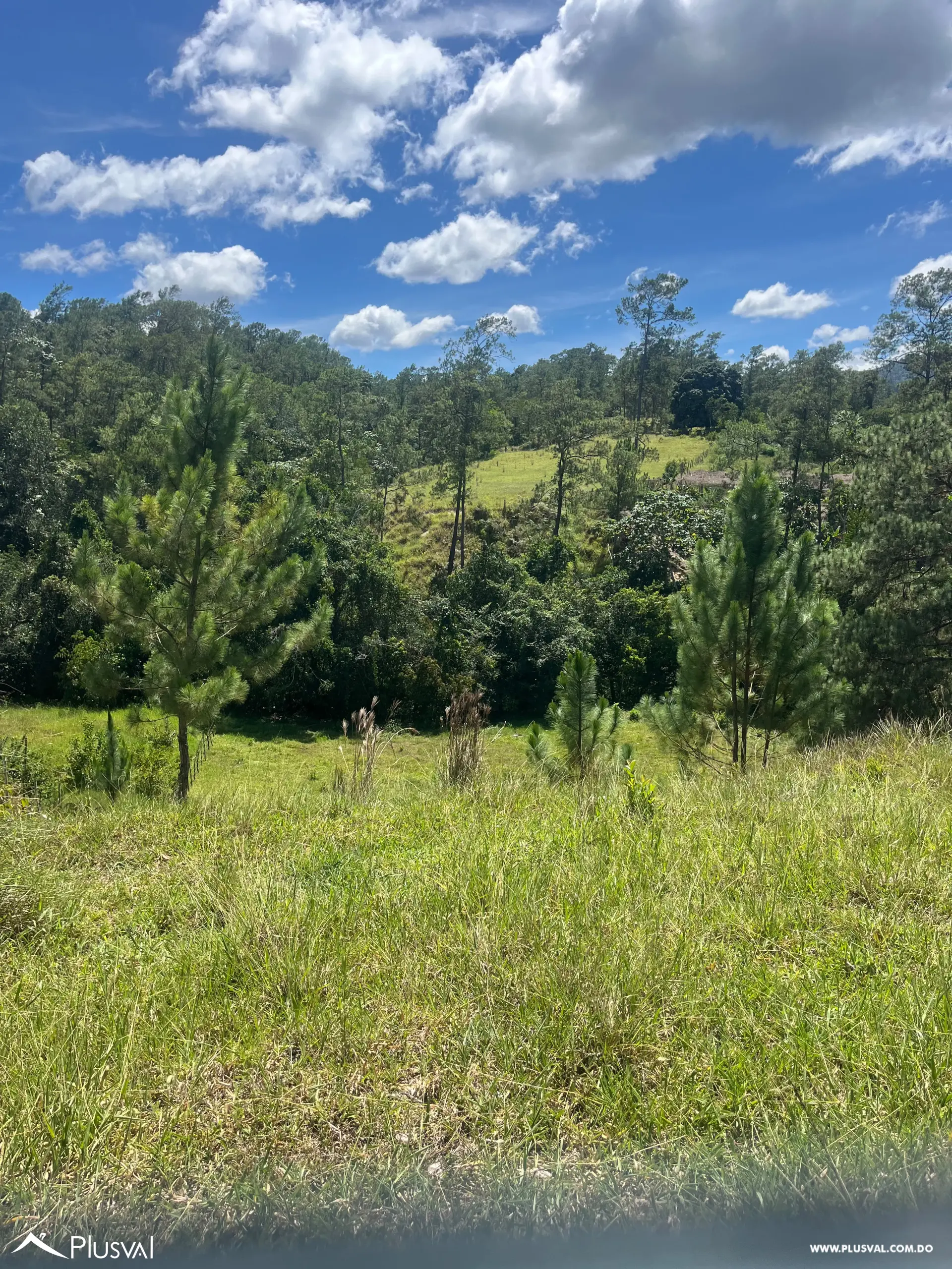 Excelente Terreno Ubicado en Jarabacoa, Ideal para proyecto residencial,finca o casa de veraneo , con excelente vista. 531181