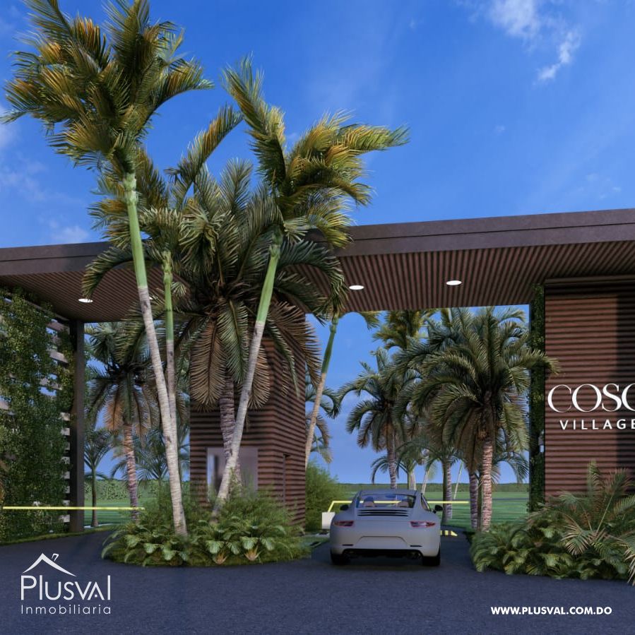 Coson Village 424192