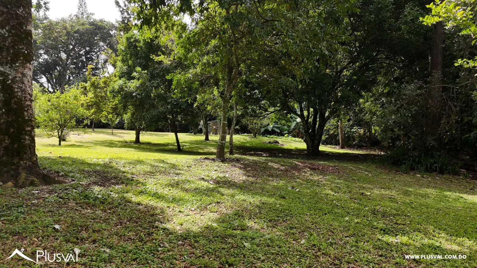 Lote Inversión 25,000 m² - Jarabacoa - Ideal Desarrollo/Lotificación 483788