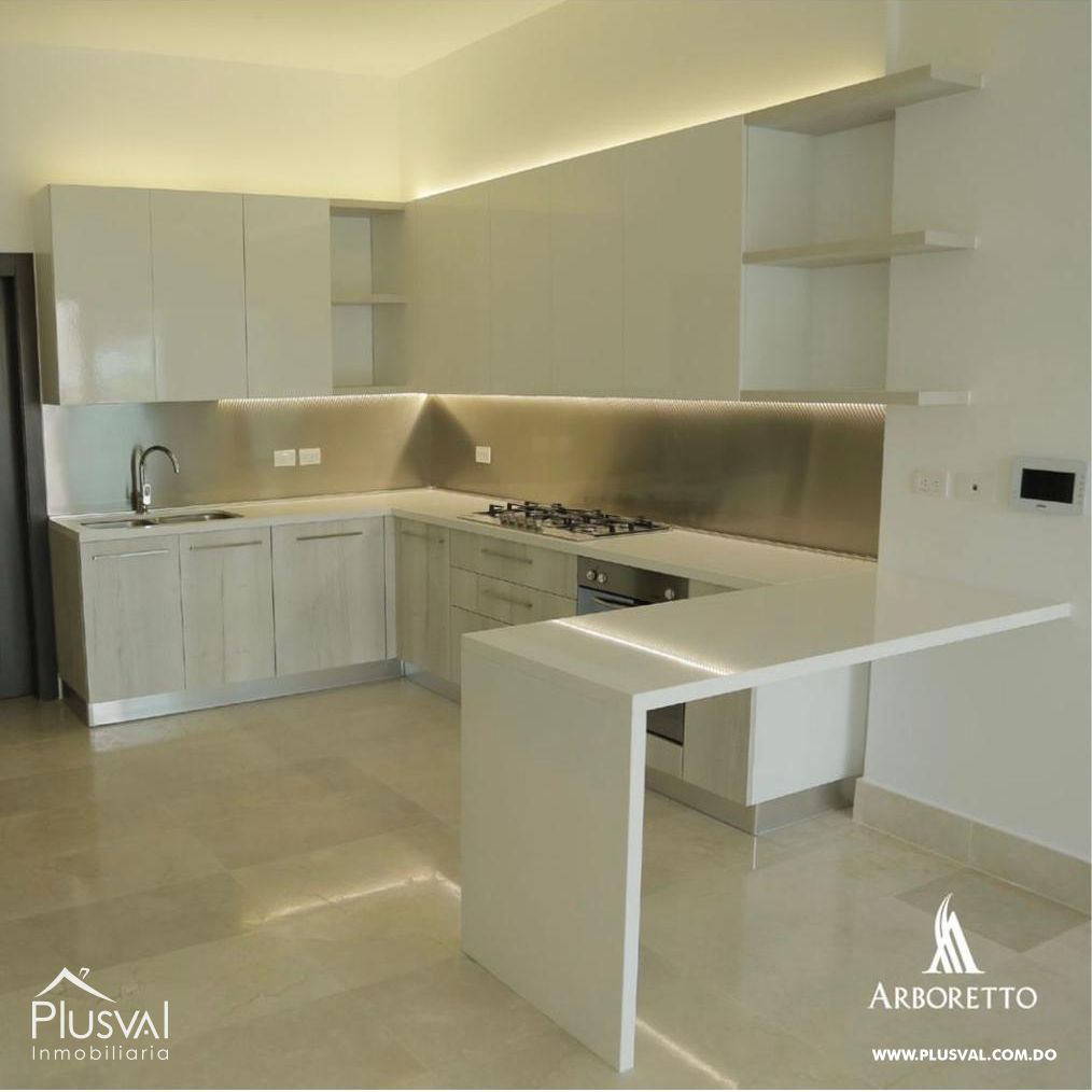 Amplio Apartamento Amueblado en Alquiler Ubicado en Zona Céntrica de Santiago. 234859