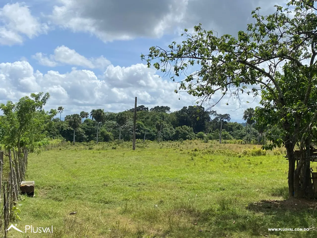 Terreno de 38 Tareas en Venta Gran Oportunidad de Inversión 456651