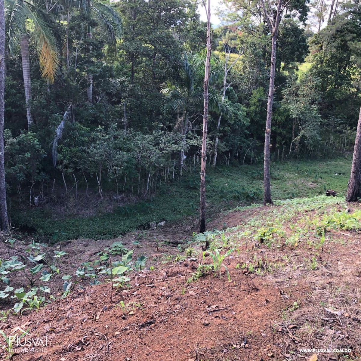 Solar con excelente ubicación en Jarabacoa 351922