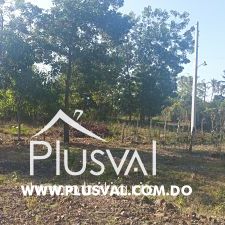Solar en Circunvalacion  hacia Villa Mella 332929