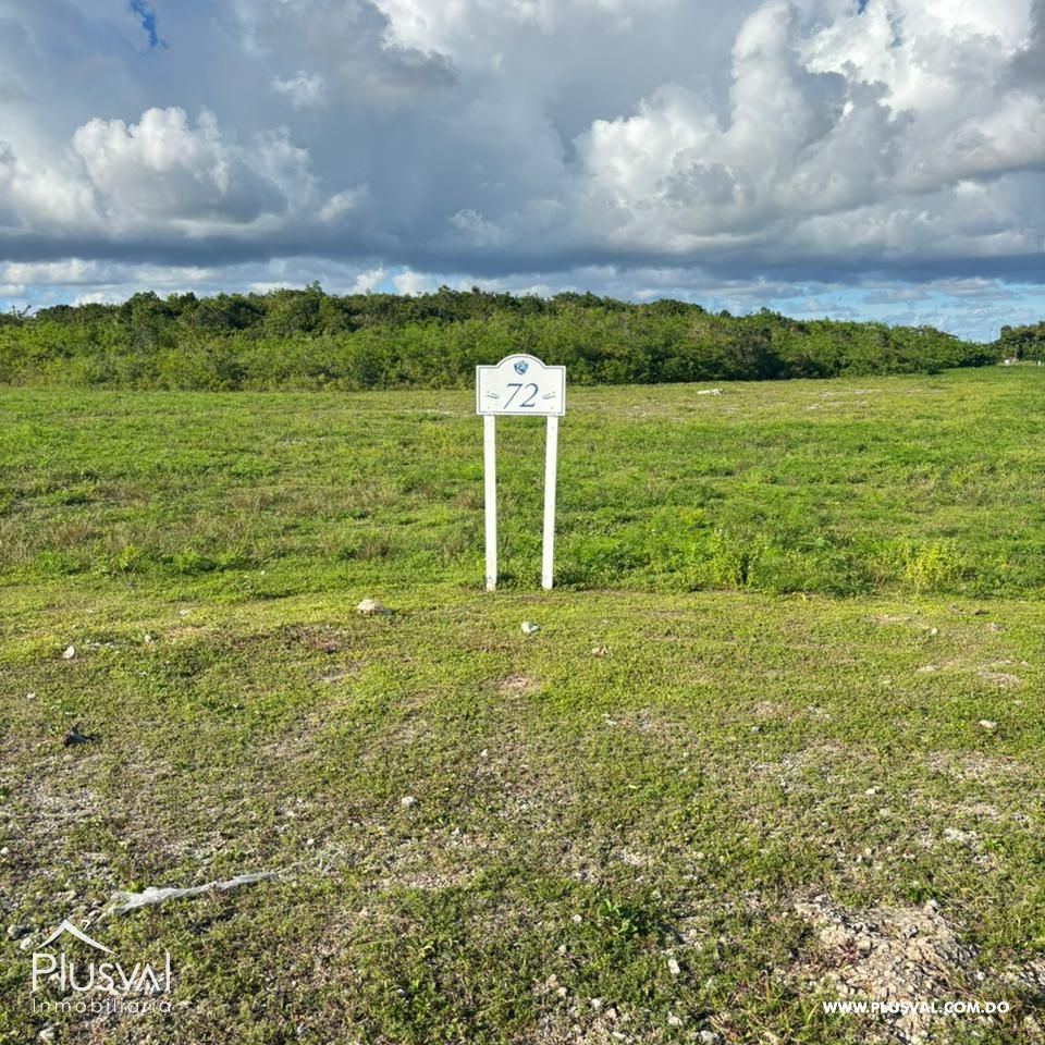 Terreno en Venta con alto potencial en Cap Cana 483069