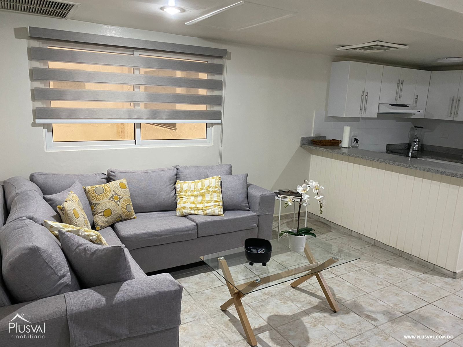 Apartamento en alquiler Amueblado, Naco 262468