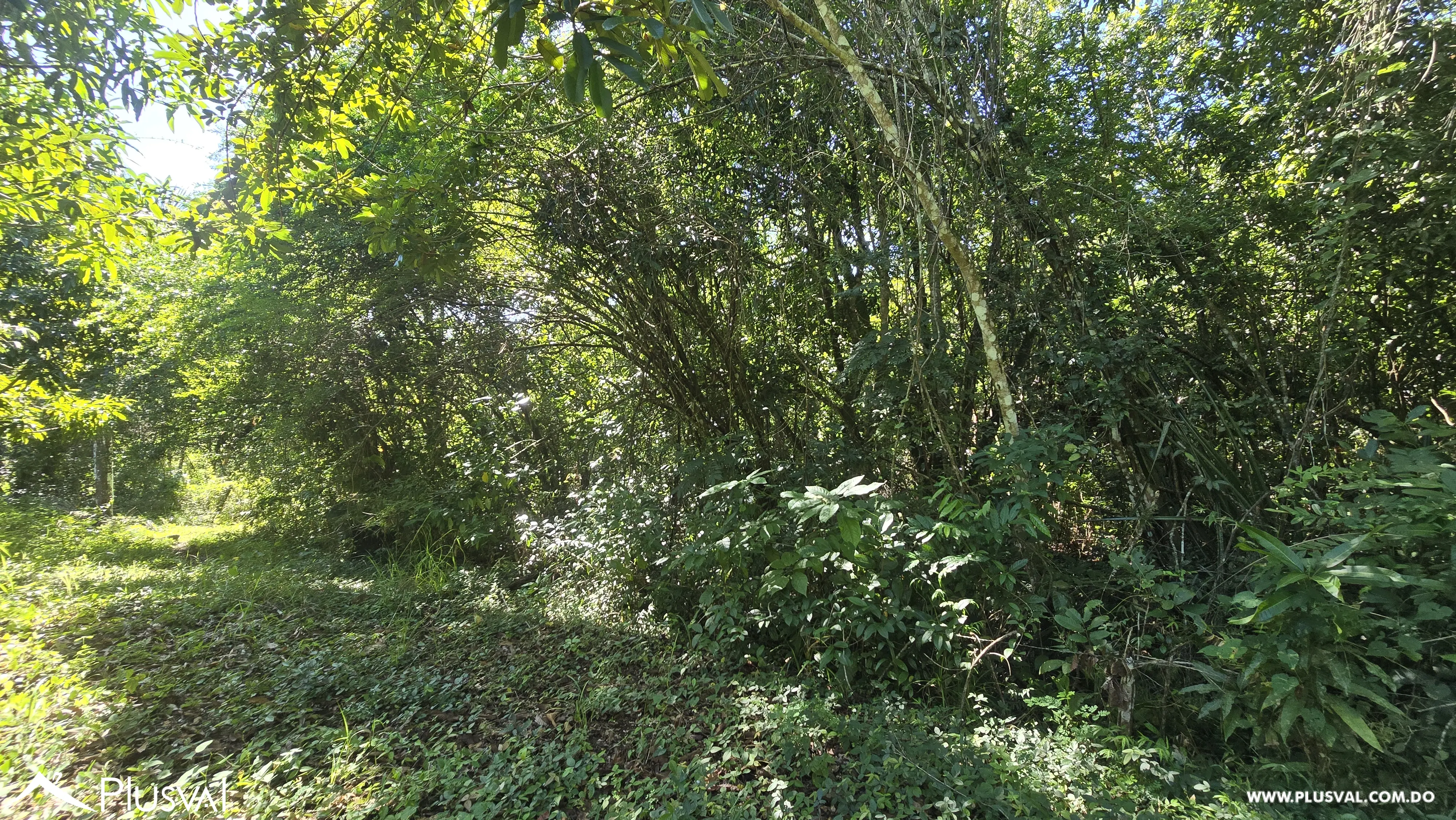 Oportunidad de inversion: Solar en vacacional matua. 486346