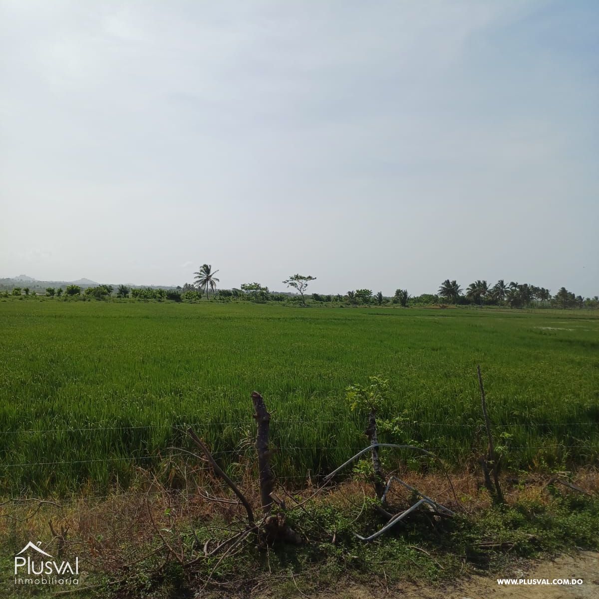 Gran terreno en venta ideal para desarrollo inmobiliario en Nisibon 366425