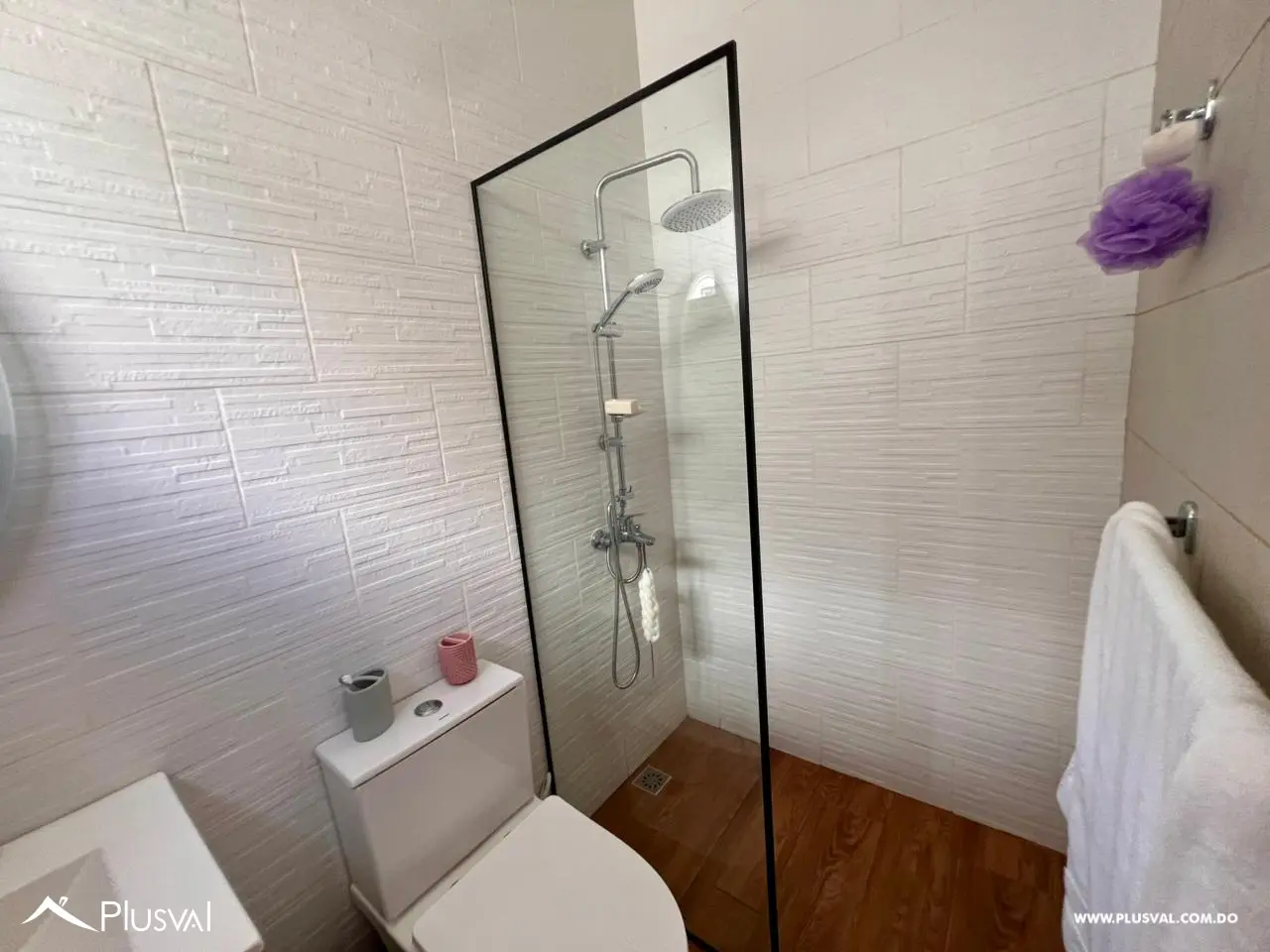 Apartamento en venta en Santiago 484149