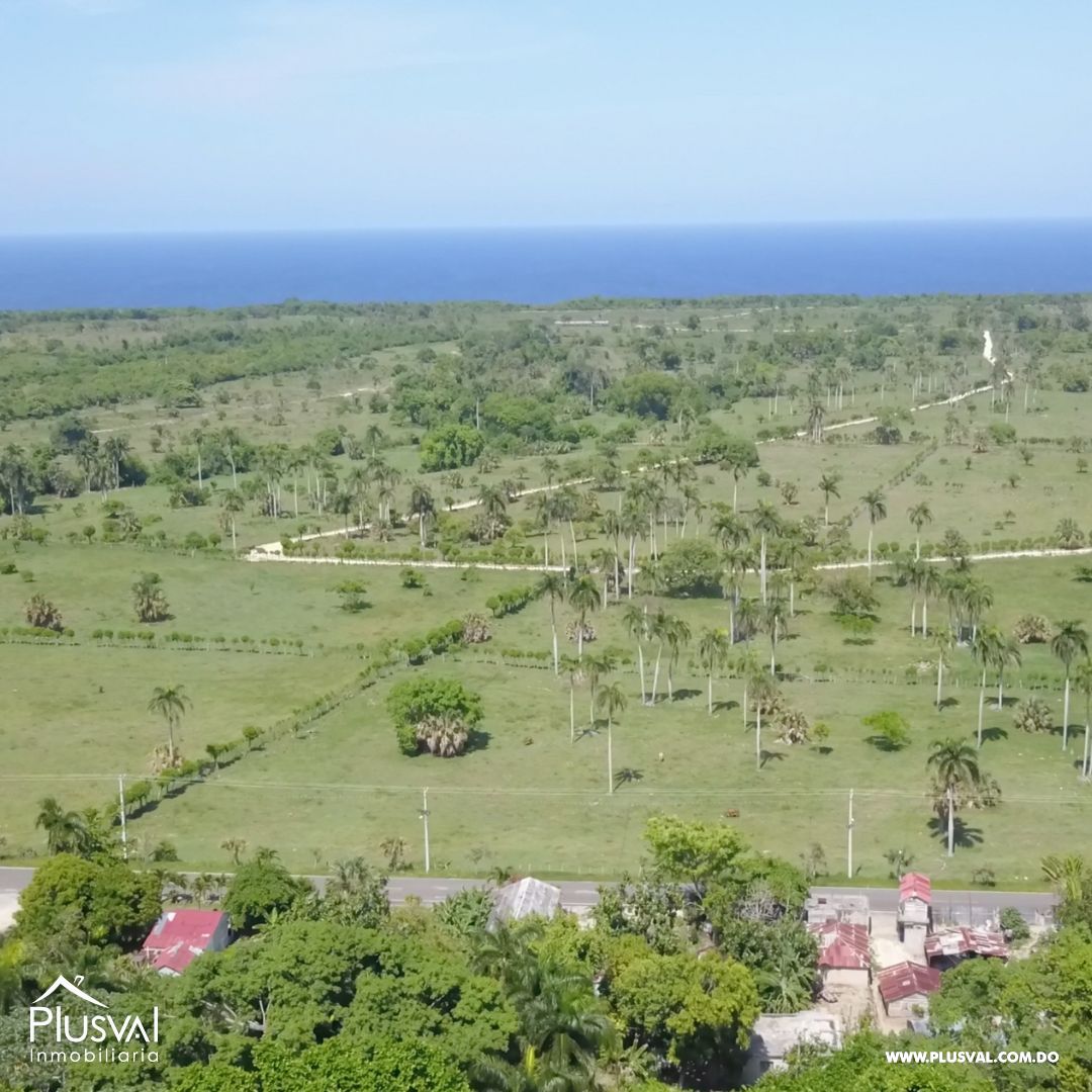 Apartamentos vista al Mar en Cabrera 338561