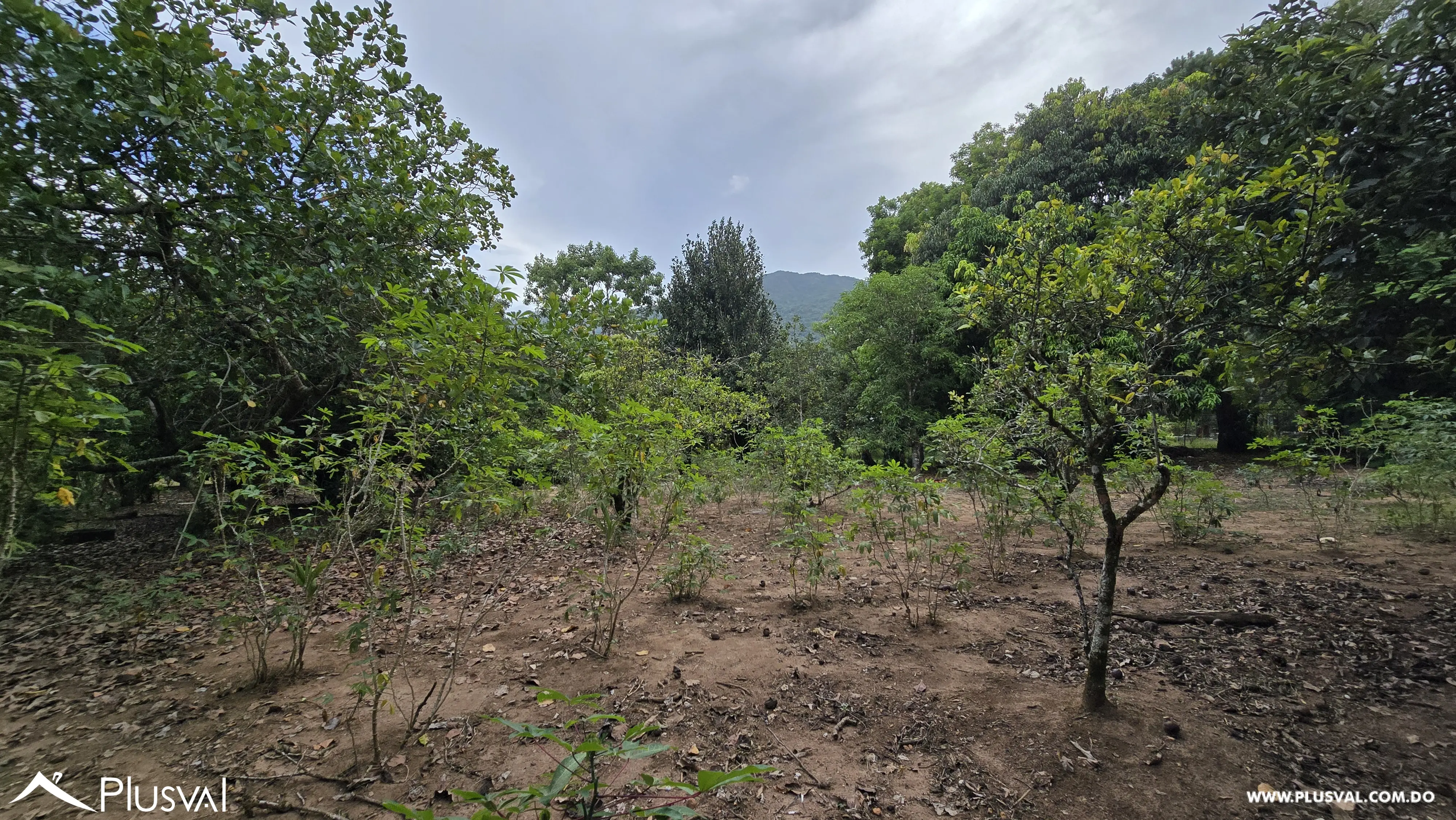 Buscas  contacto con la naturaleza para pasar tiempo en familia, cultivar tus propias hortalizas y frutos? 459899
