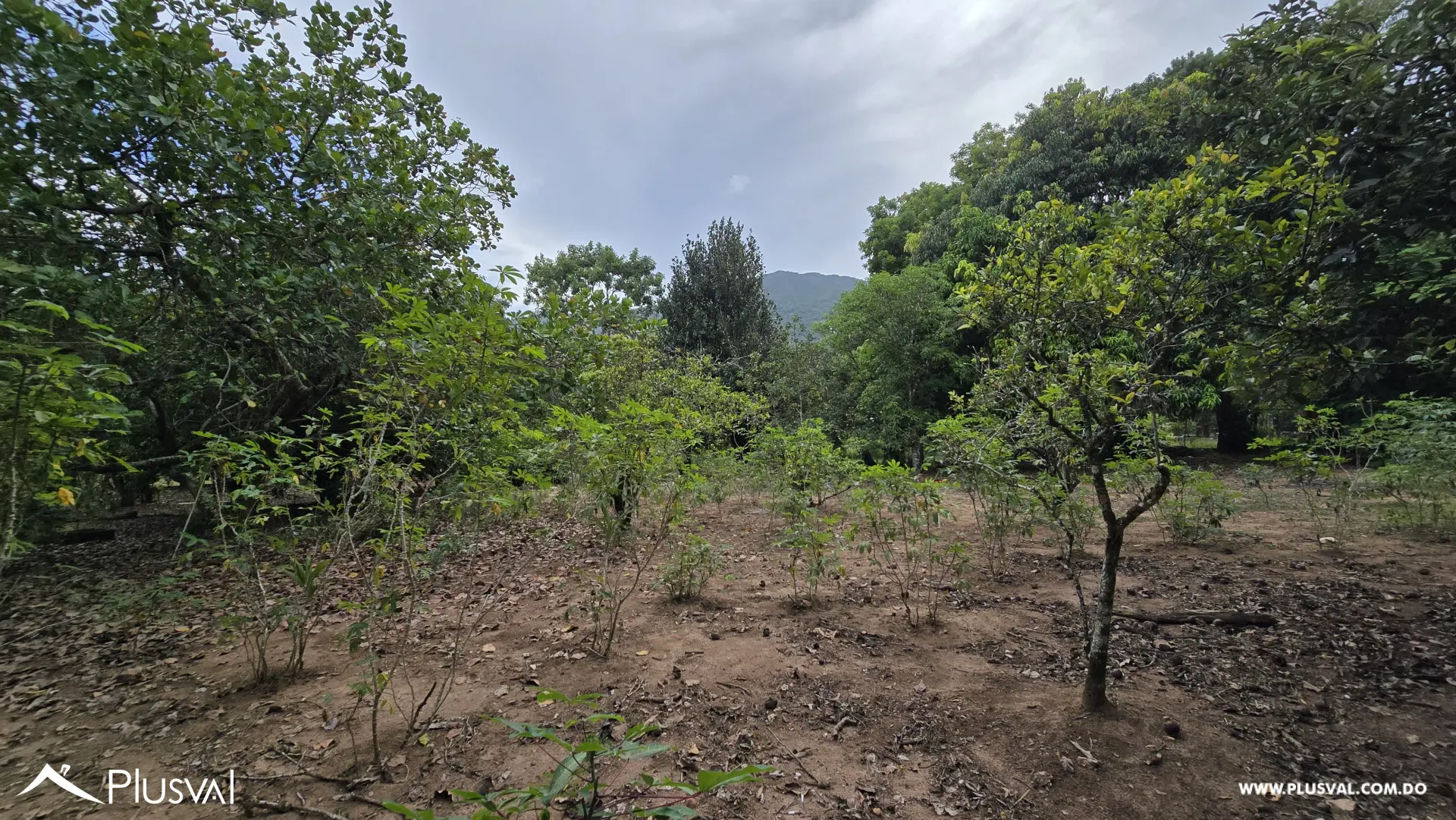 Buscas  contacto con la naturaleza para pasar tiempo en familia, cultivar tus propias hortalizas y frutos? 459899