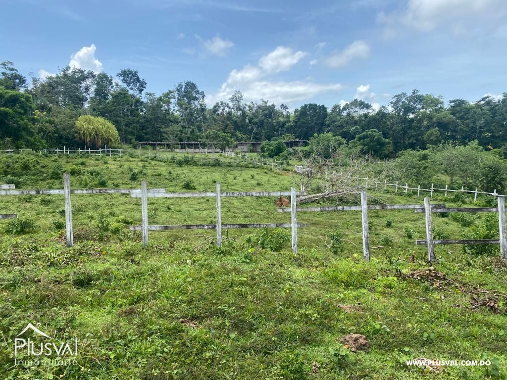 Finca en venta en Las Terrenas, inversión ideal en el paraíso 450780