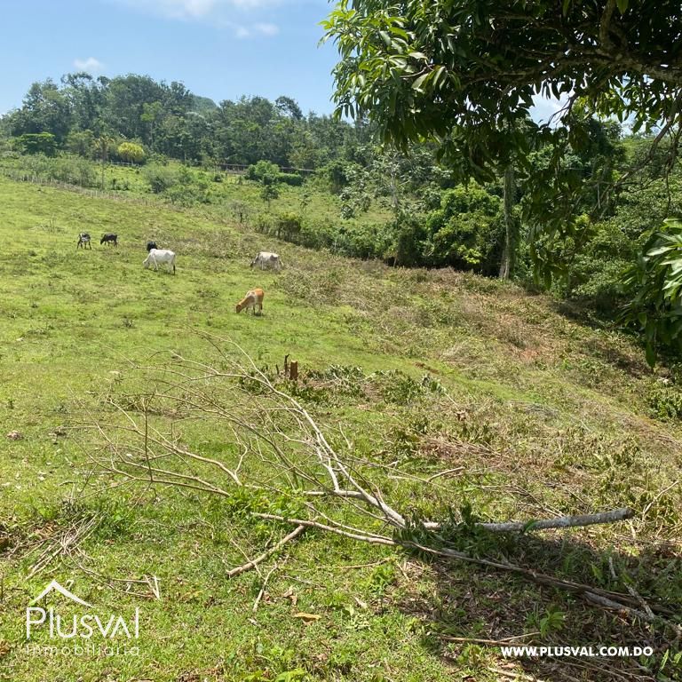 Terreno en venta en Samana 353027