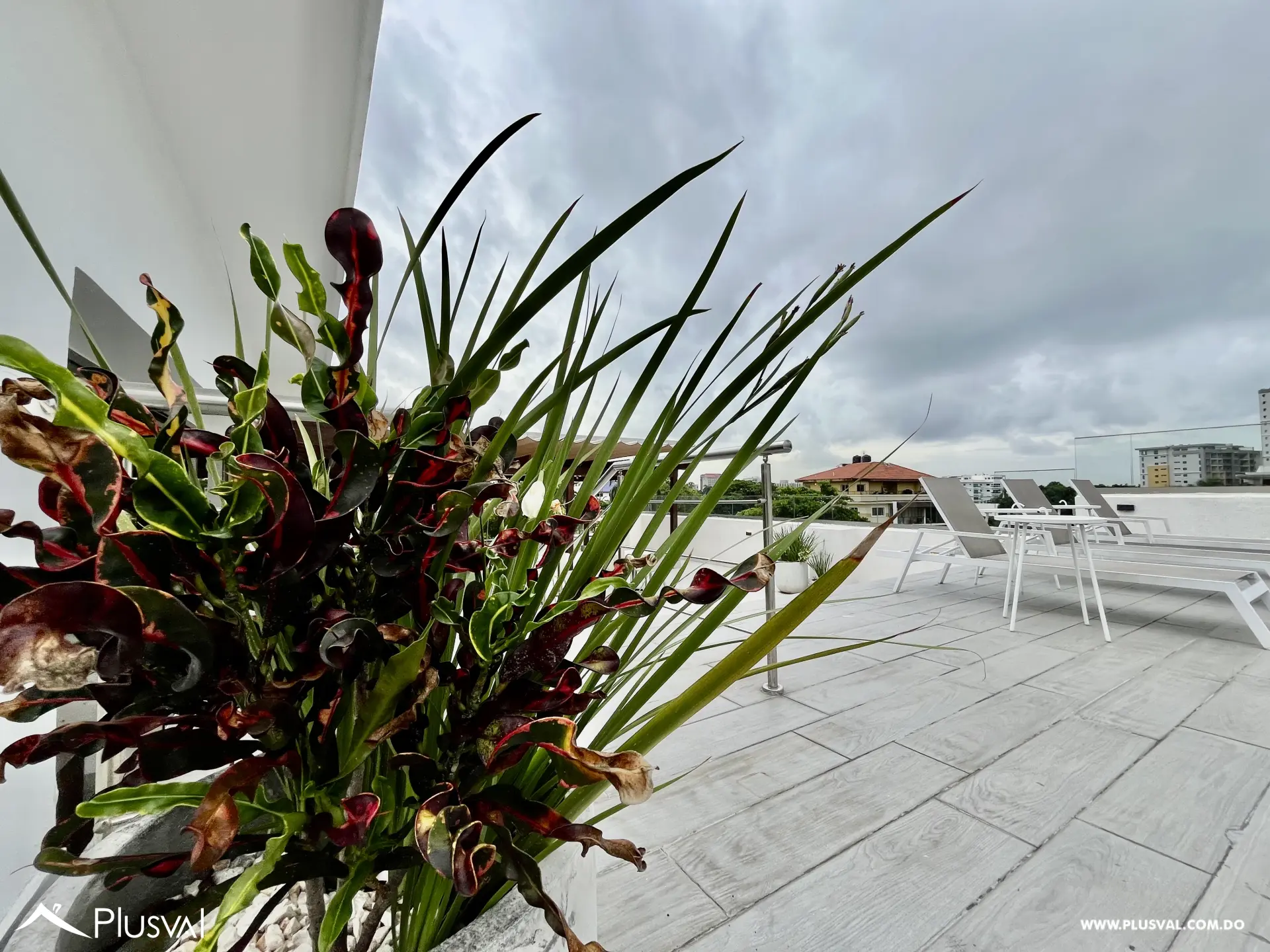 Terraza rooftop con piscina en alquiler en Gazcue 468478
