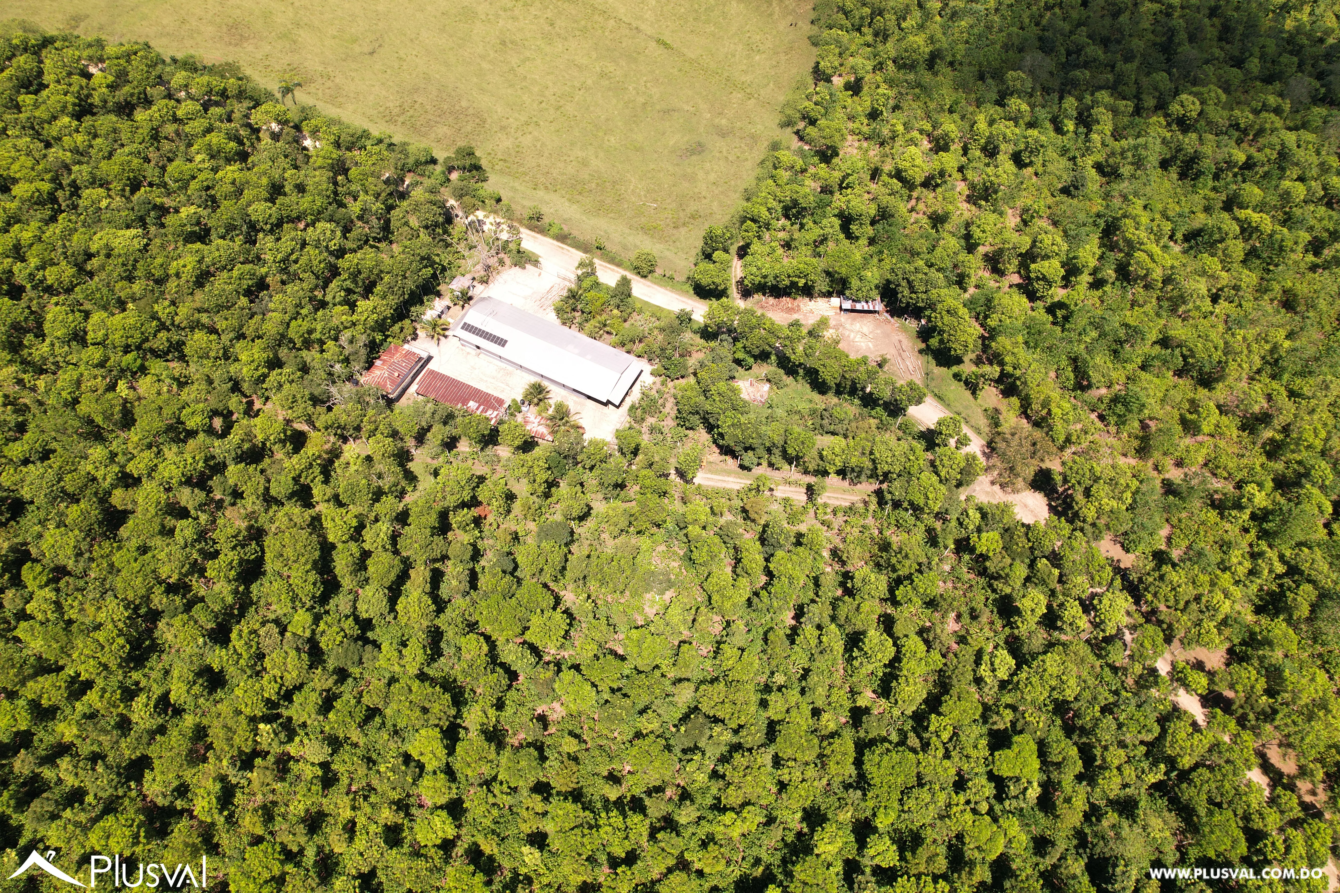 Finca de Cacao Orgánico Certificado en Venta en San Francisco de Macoris 506971