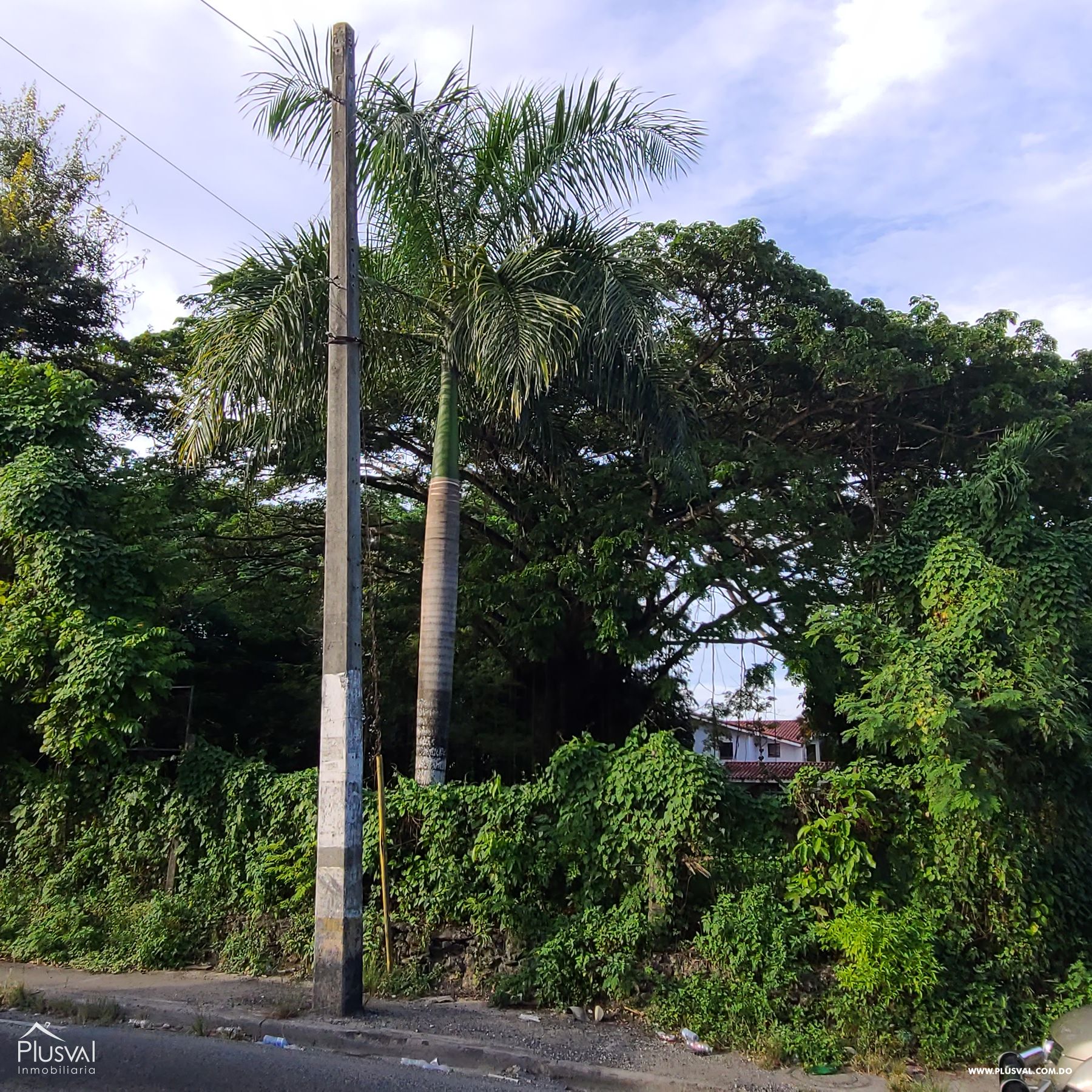 Solar de 2500 m2 en Venta, Arroyo Hondo 240269