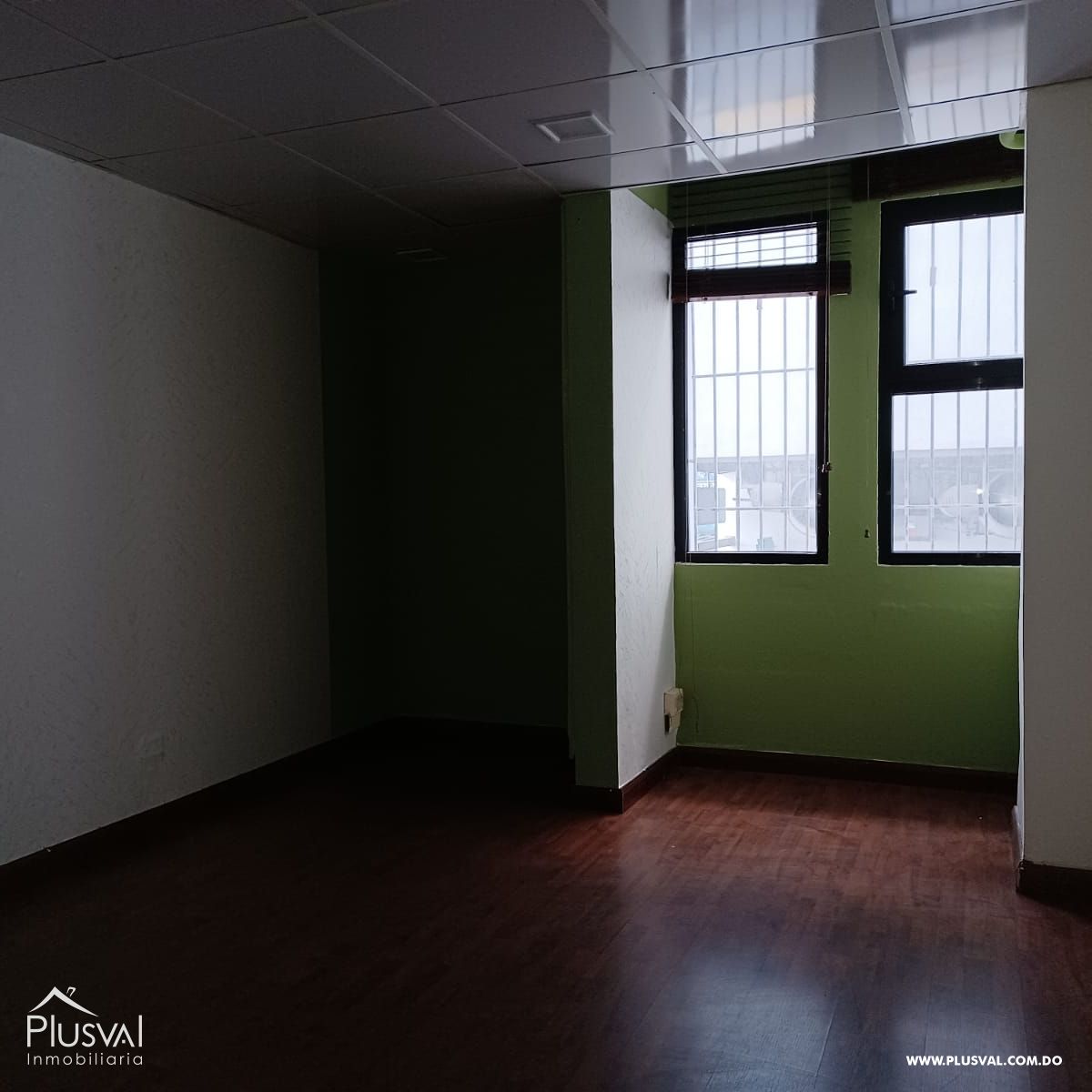Local Comercial en alquiler en Naco 206279