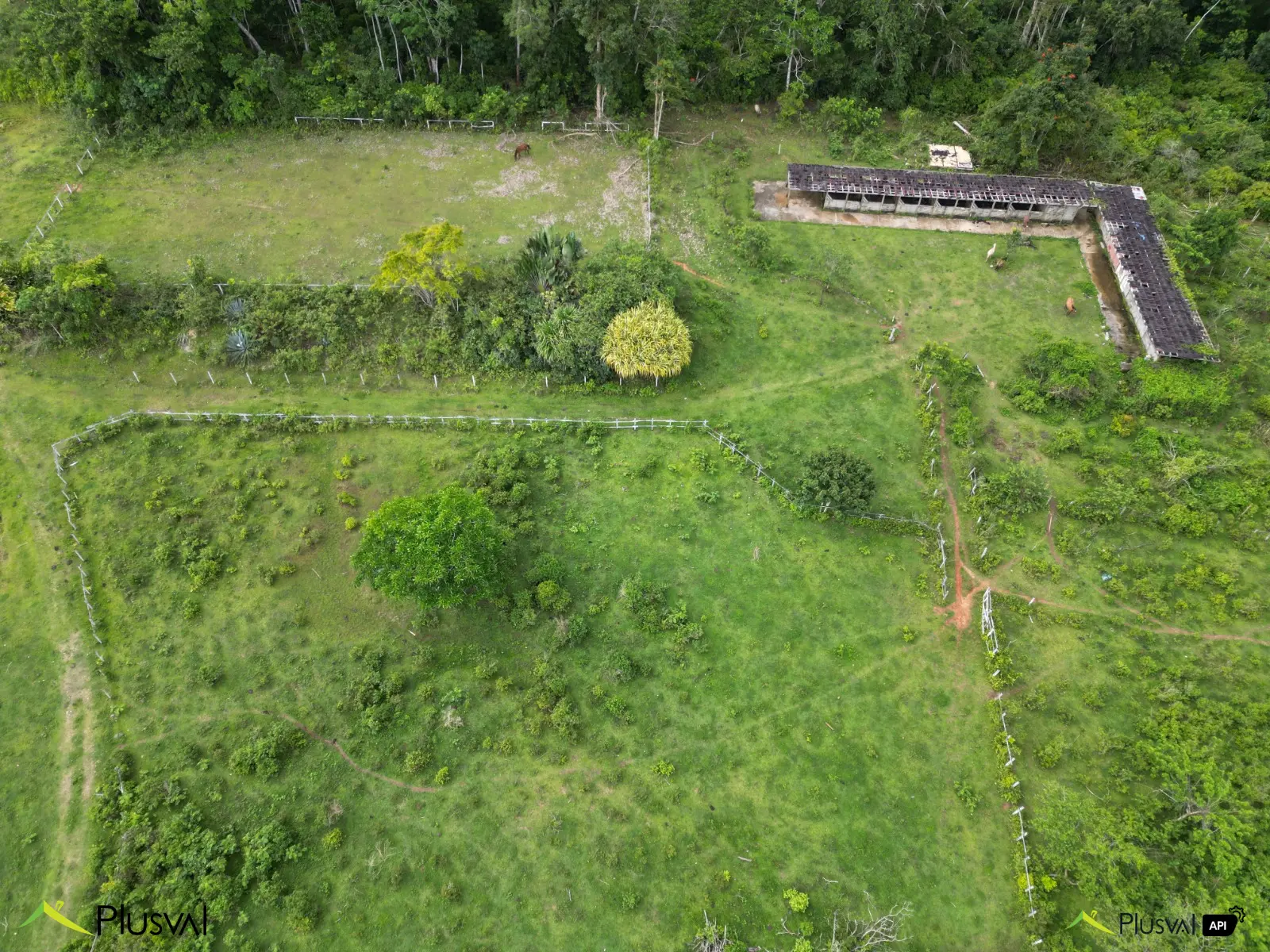 Finca en venta en Las Terrenas, inversión ideal en el paraíso 450855