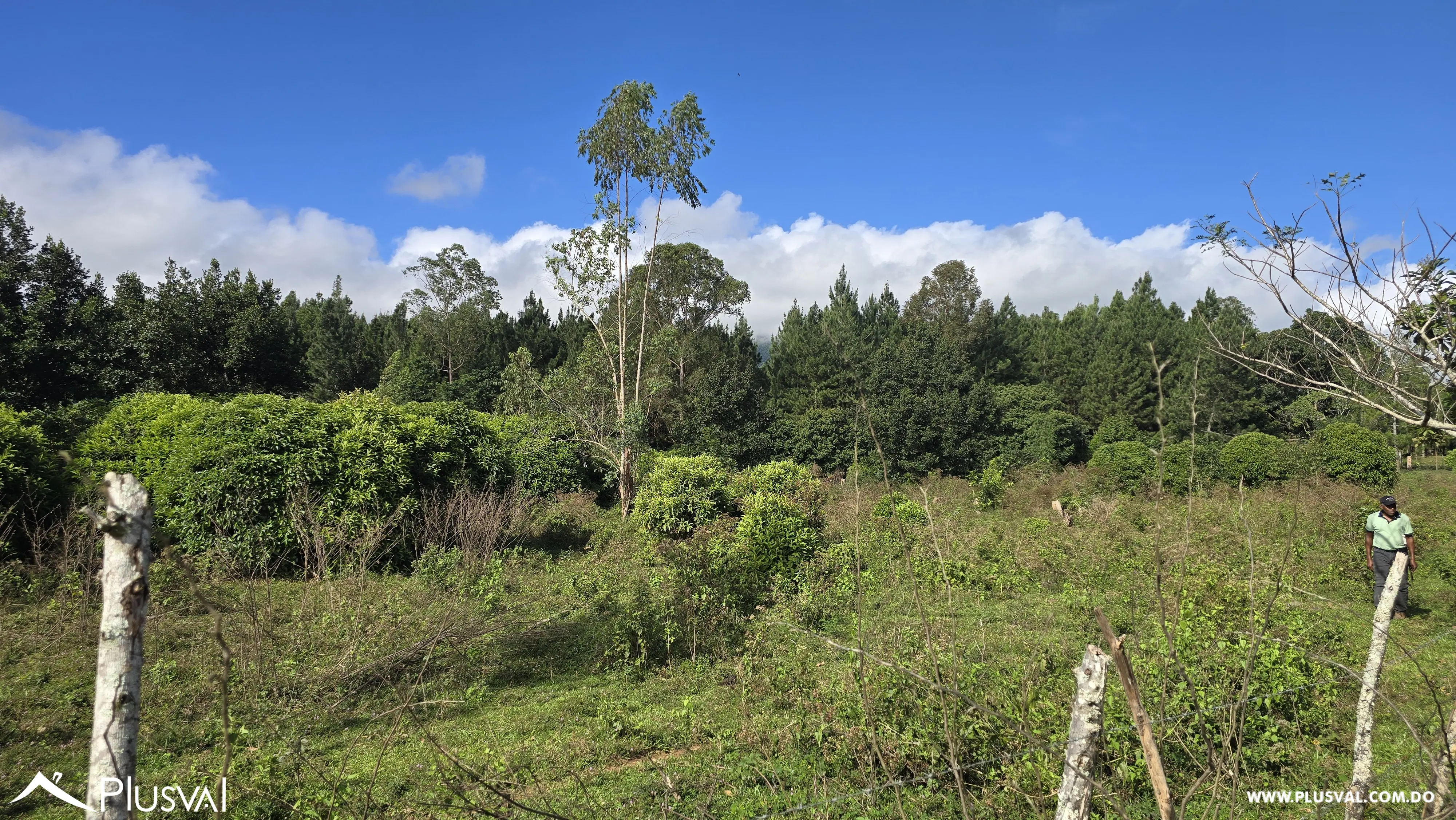 Buscas Solar para construir y cultivar a tan solo 25 minutos de la ciudad, este solar puede ser tuyo 485604