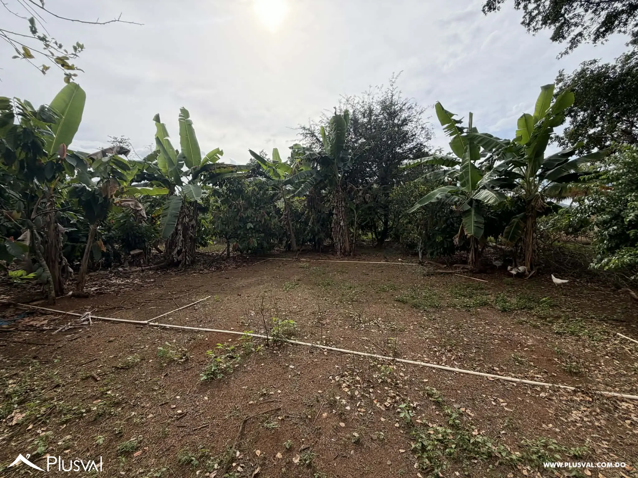 Hermosa Finca en Bonao en venta 496726