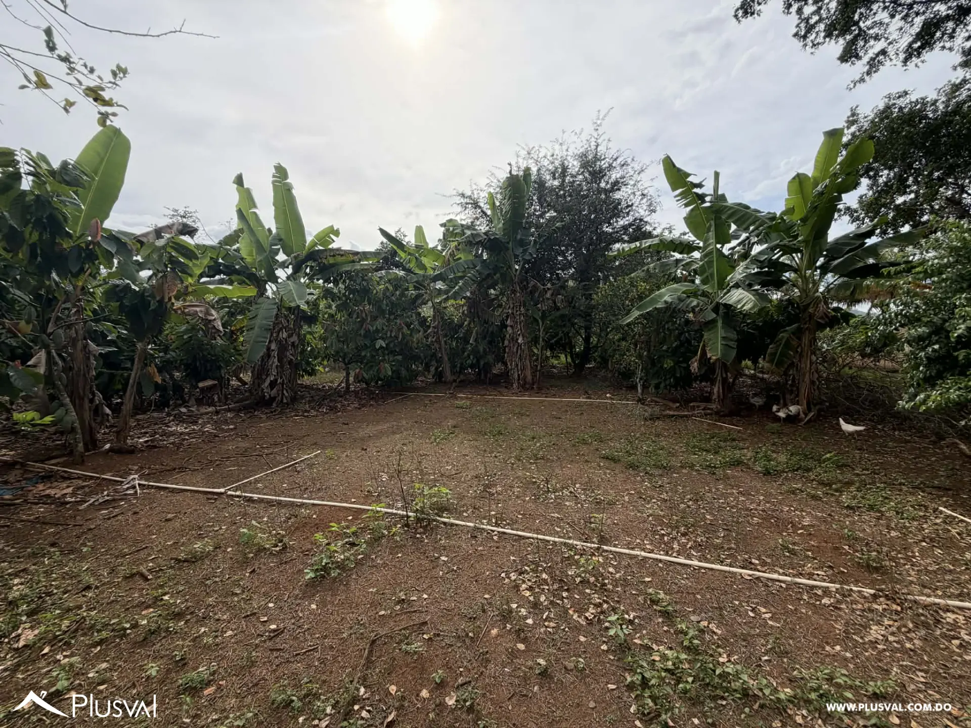 Hermosa Finca en Bonao en venta 496726