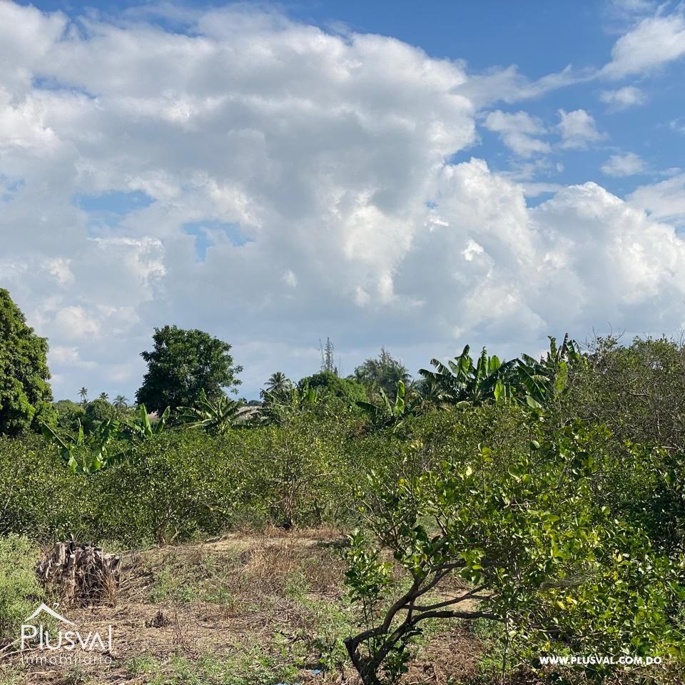 Productiva finca a la venta en El Rincón, Jinamagao, La Canela. Santiago 379511